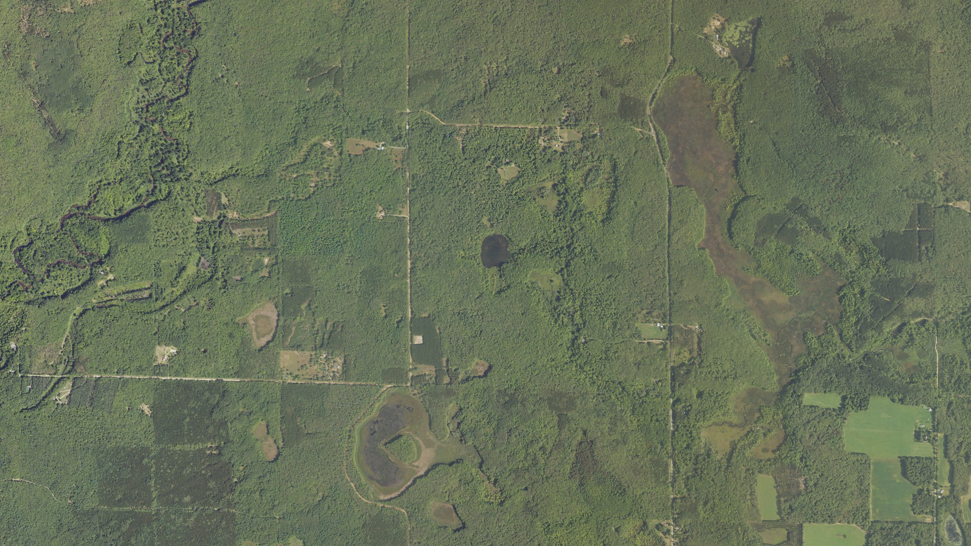 Aerial view of land around Greenwood, Michigan