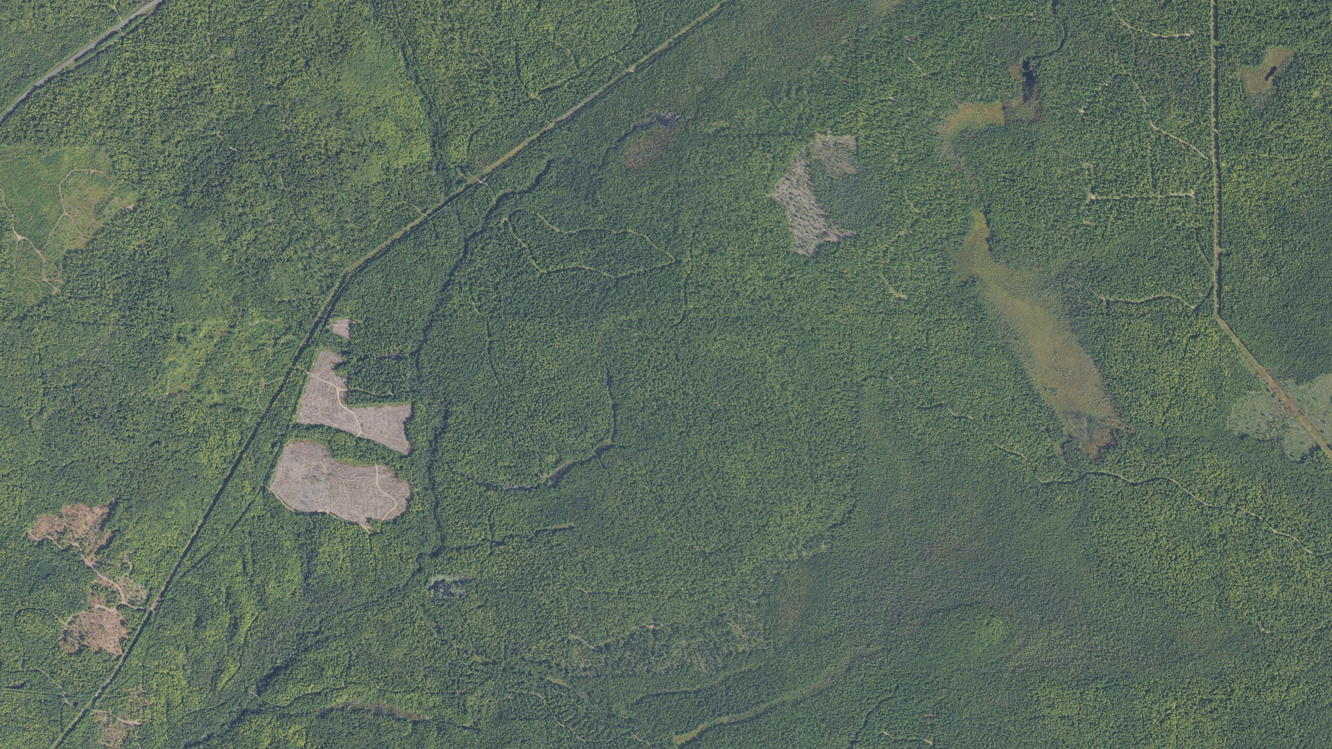 Aerial view of land around Bohemia, Michigan
