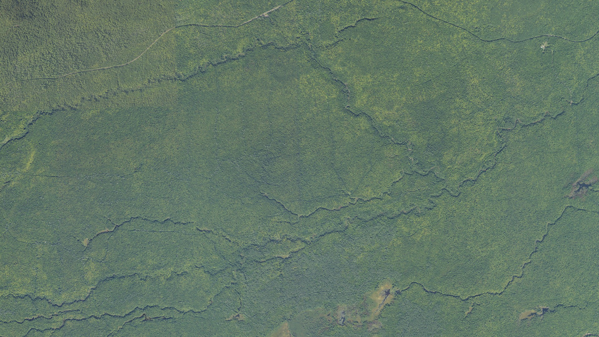 Aerial view of land around Carp Lake, Michigan