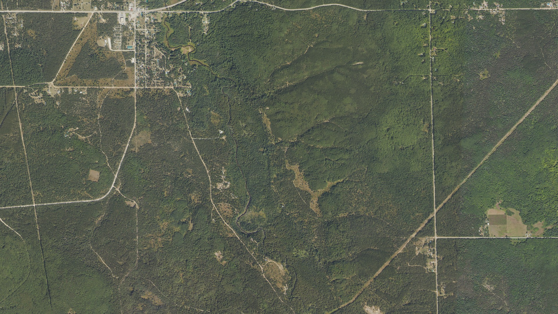 Aerial view of land around Big Creek, Michigan
