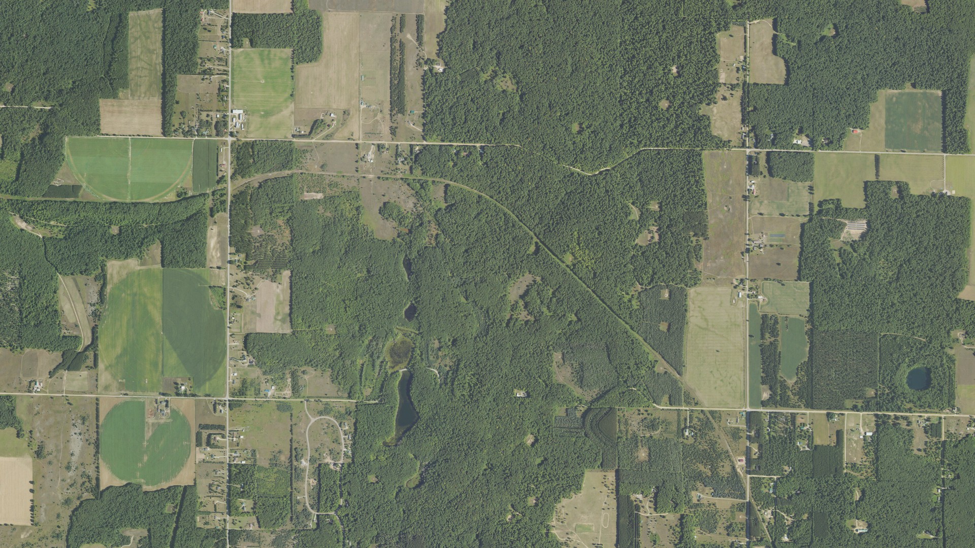 Natural-color aerial photograph of land around Elmira, Michigan