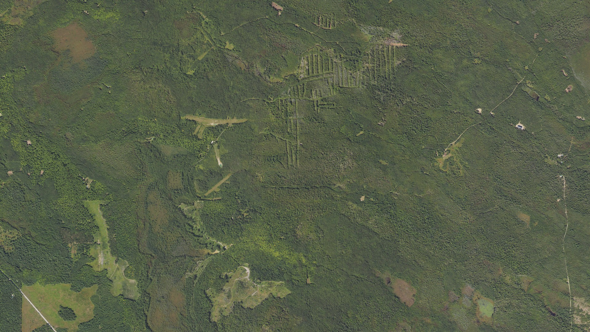 Natural-color aerial photograph of land around Bearinger, Michigan