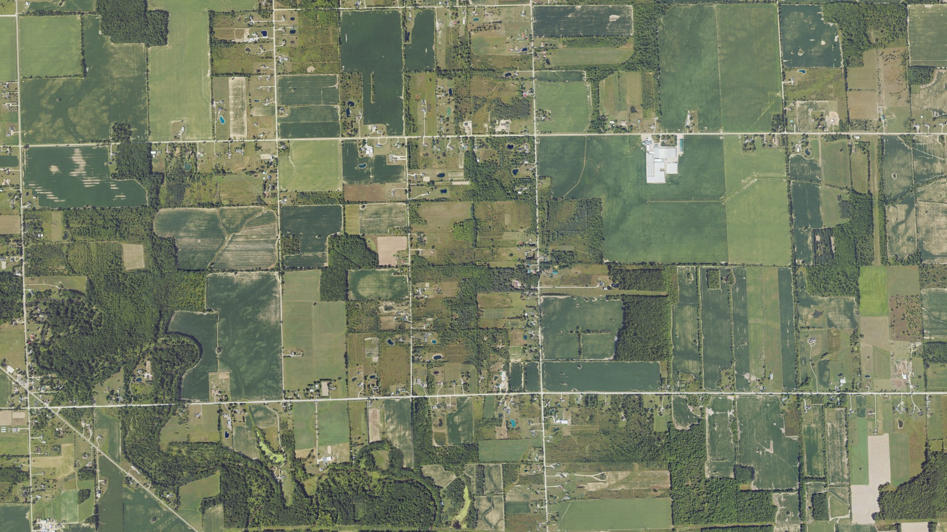 Aerial view of land around Riley, Michigan