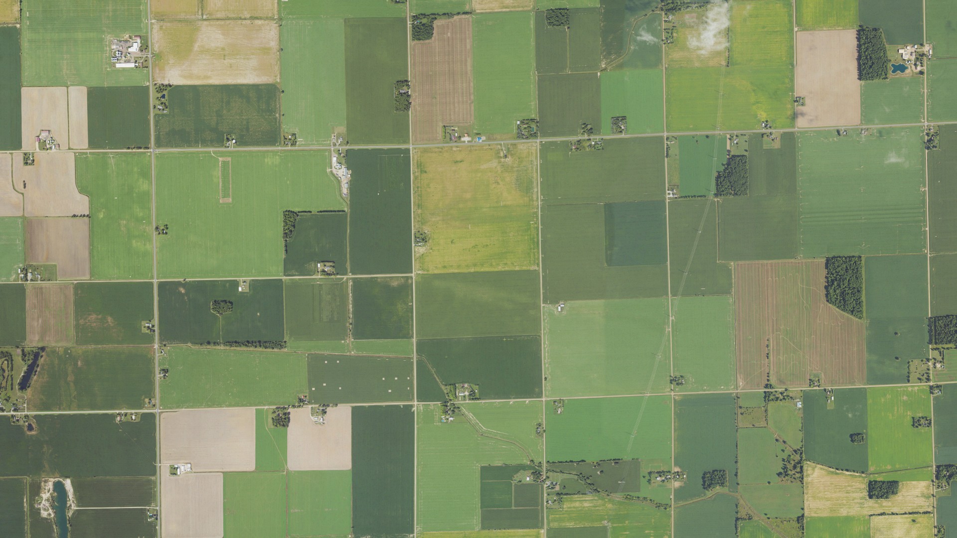 Aerial view of land around Custer, Michigan