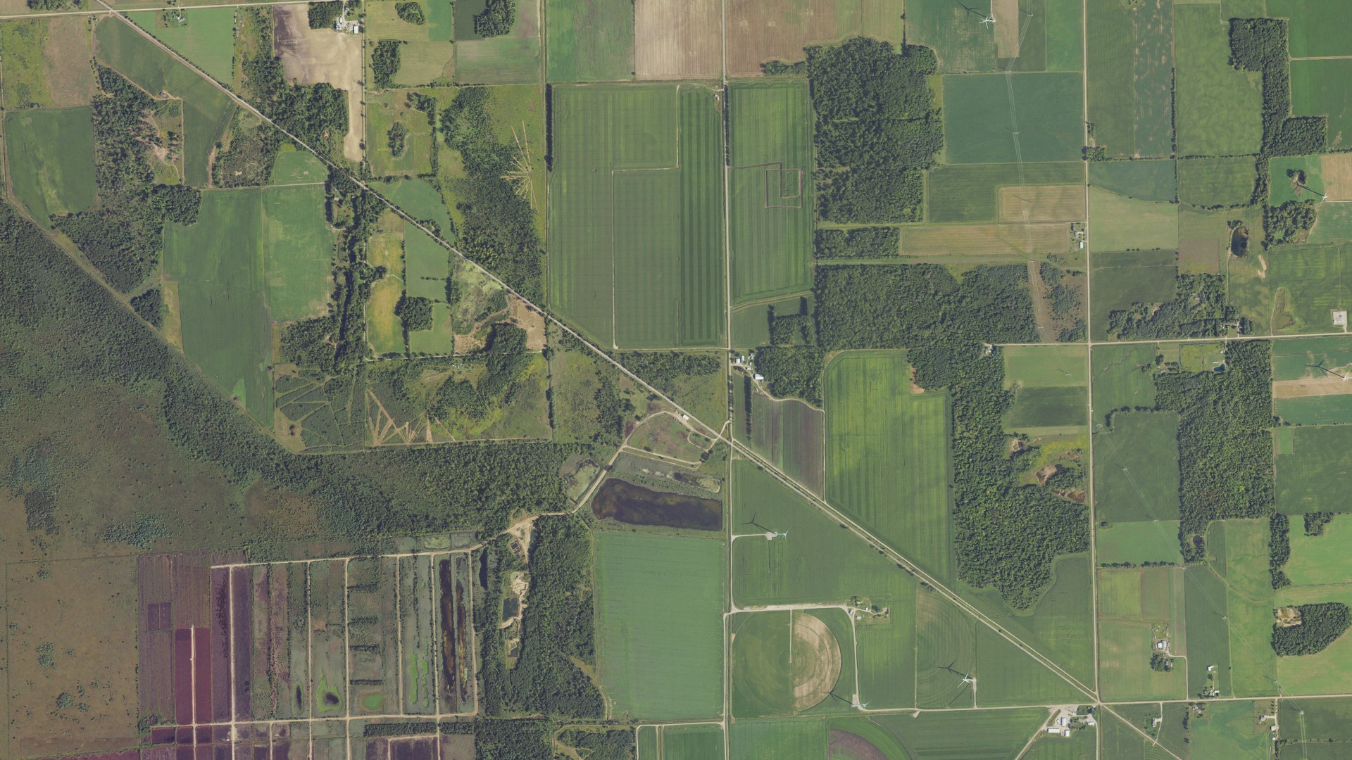 Natural-color aerial photograph of land around Minden, Michigan