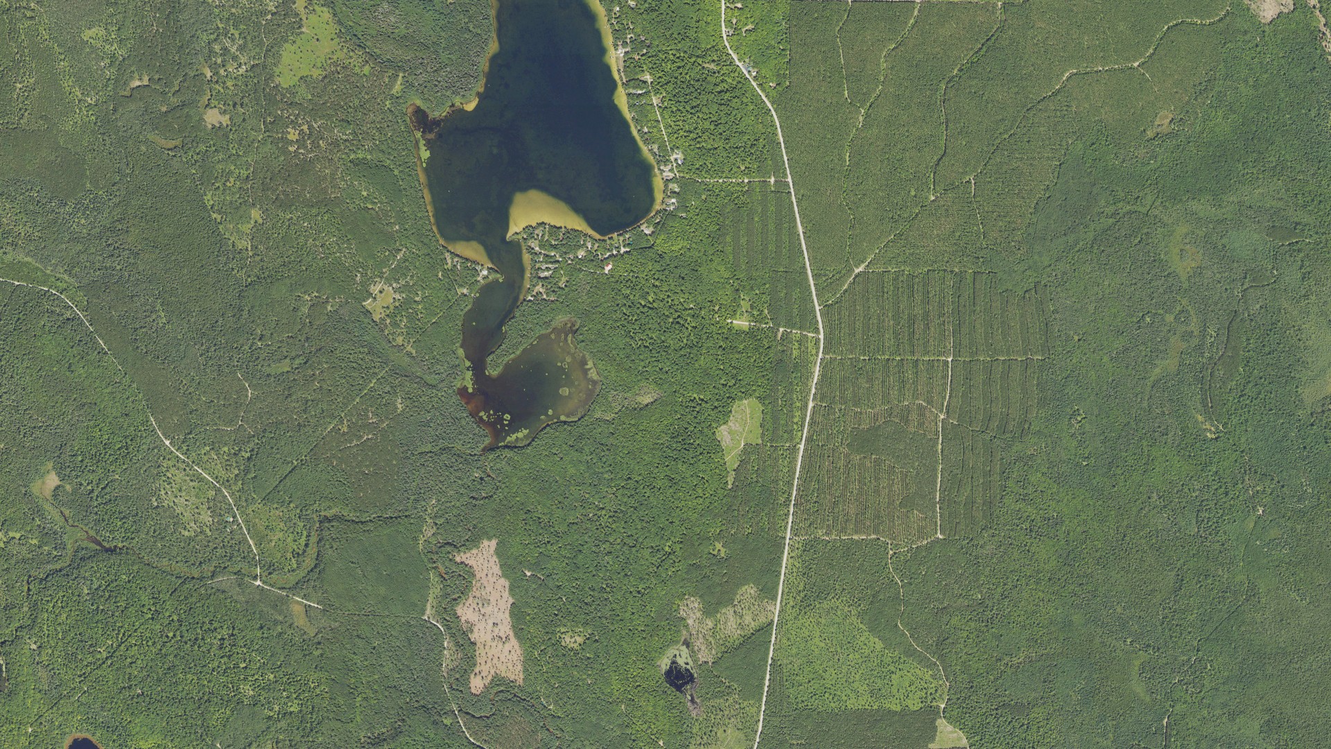 Aerial view of land around Inwood, Michigan