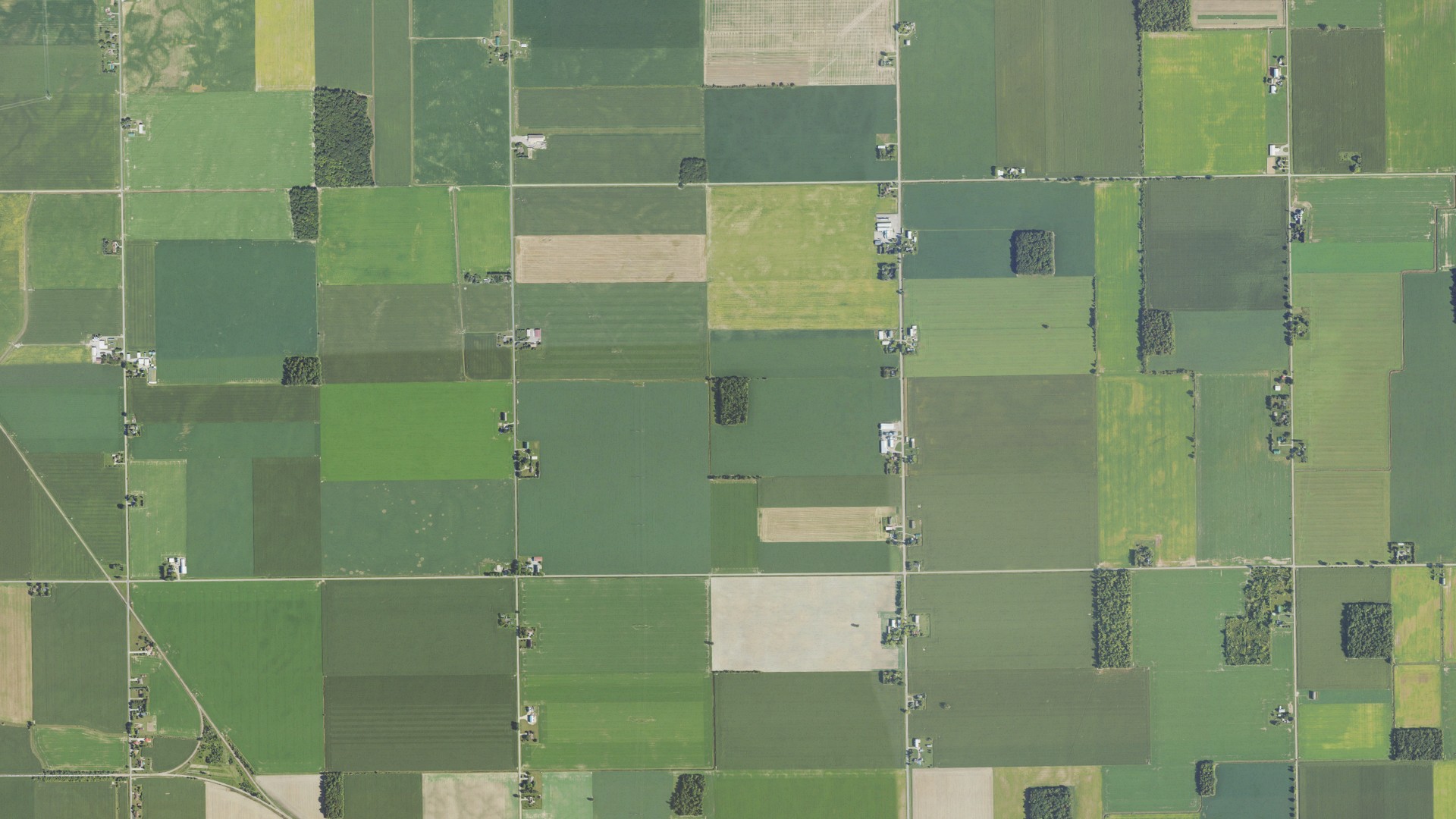Natural-color aerial photograph of land around Denmark, Michigan