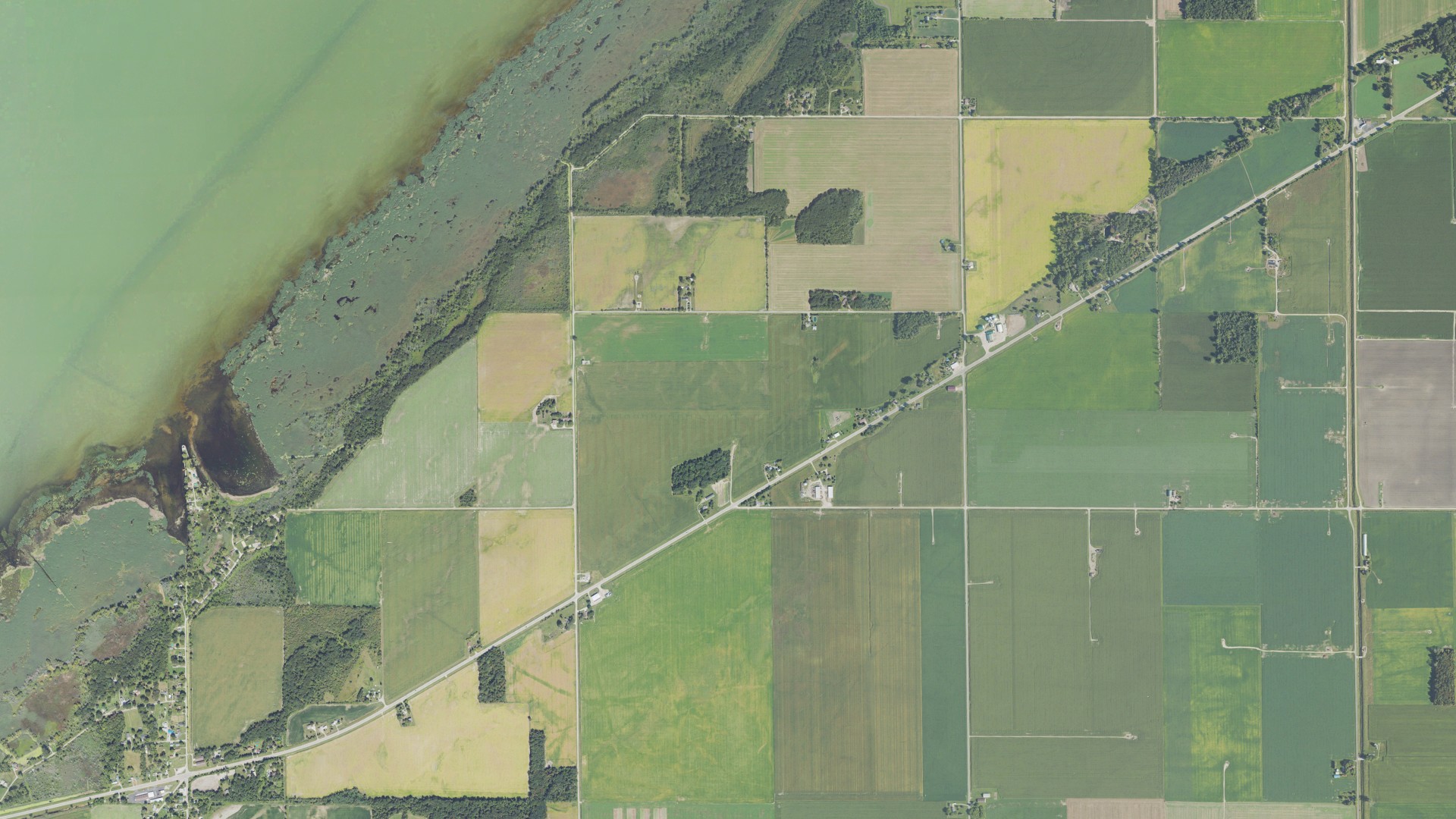 Natural-color aerial photograph of land around Wisner, Michigan