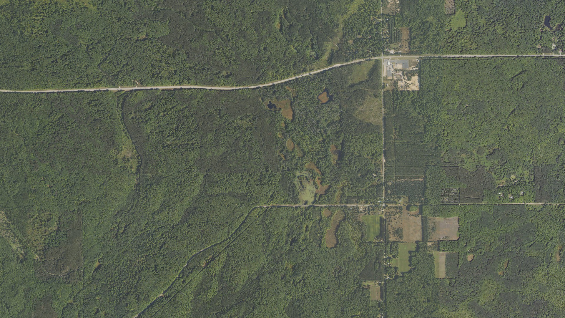 Natural-color aerial photograph of land around Henderson, Michigan