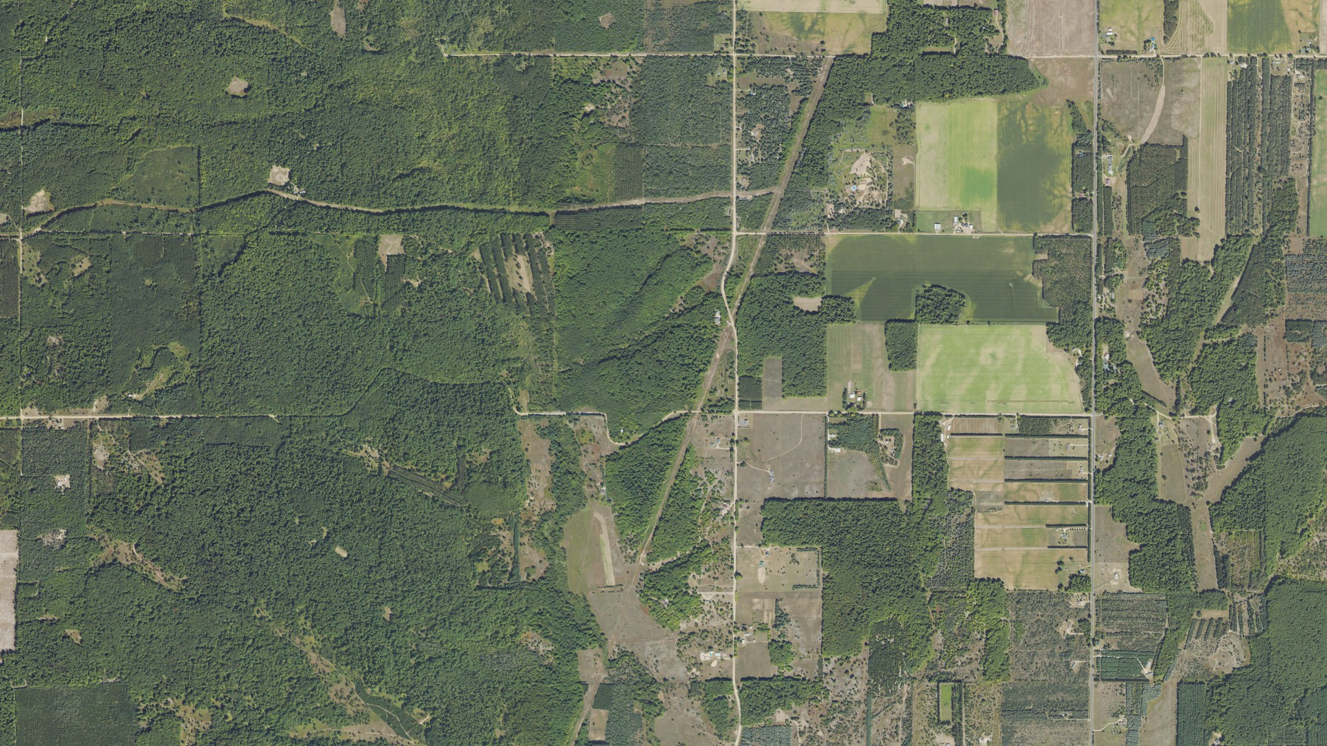 Aerial view of land around Wexford, Michigan