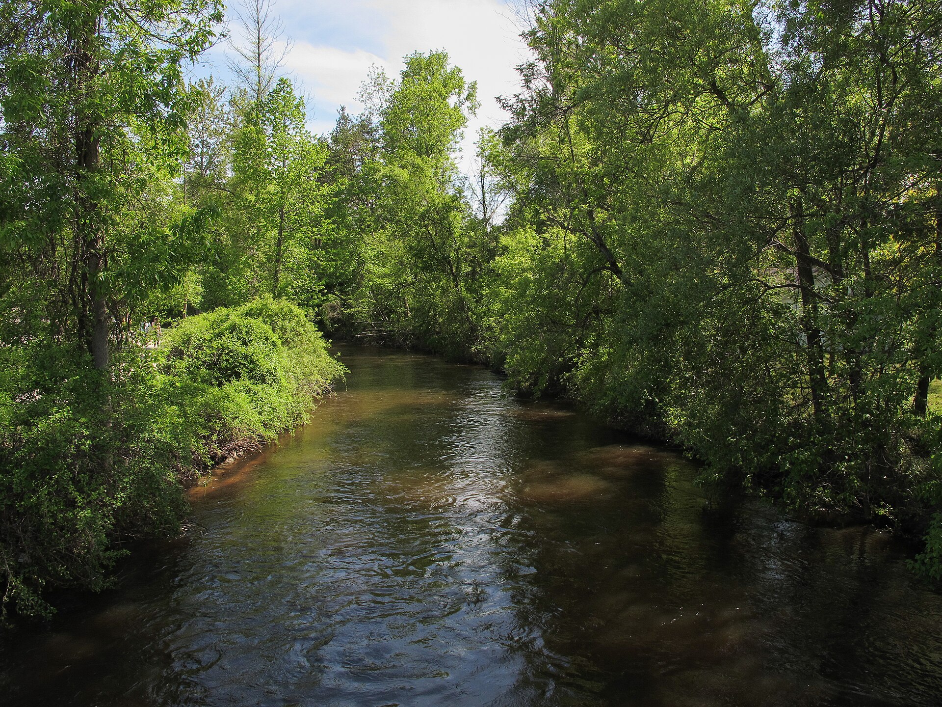 The Cedar River as viewed downstream from the south side of West Cedar Avenue (M-18/M-61) in Gladwin, Michigan.