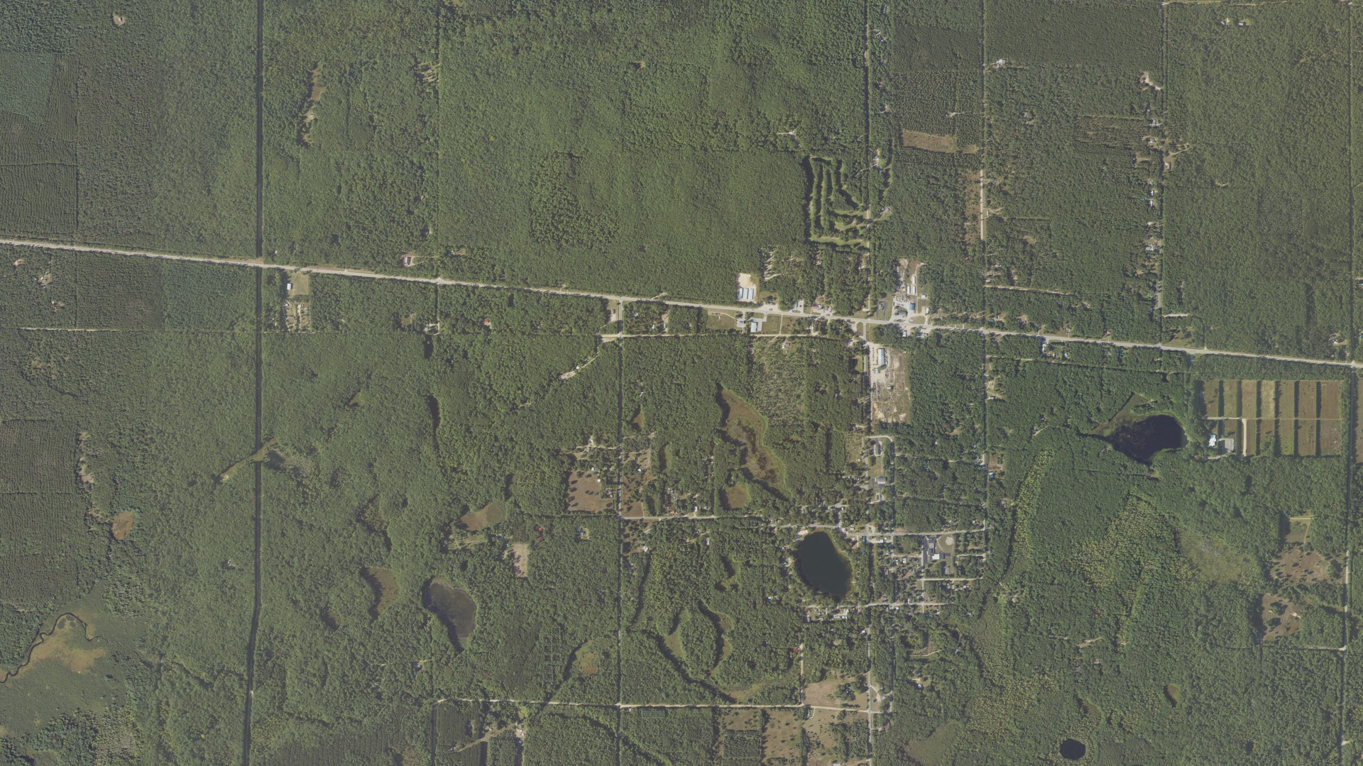 Natural-color aerial photograph of land around Wellston, Michigan