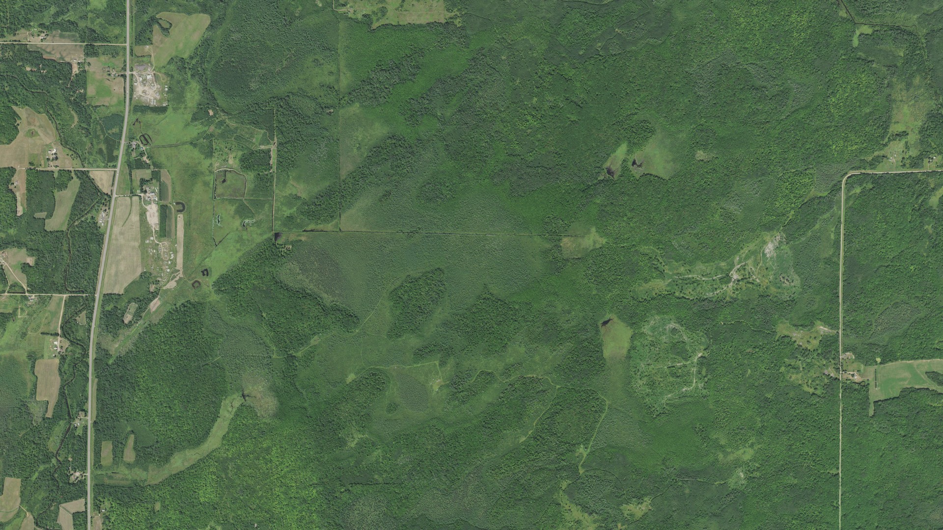 Natural-color aerial photograph of land around Pliny, Minnesota