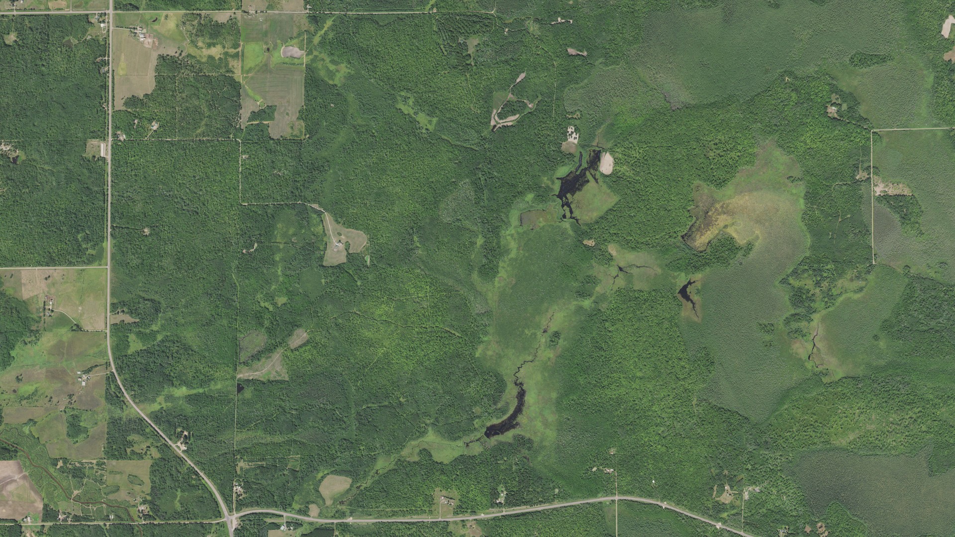 Aerial view of land around Rice River, Minnesota