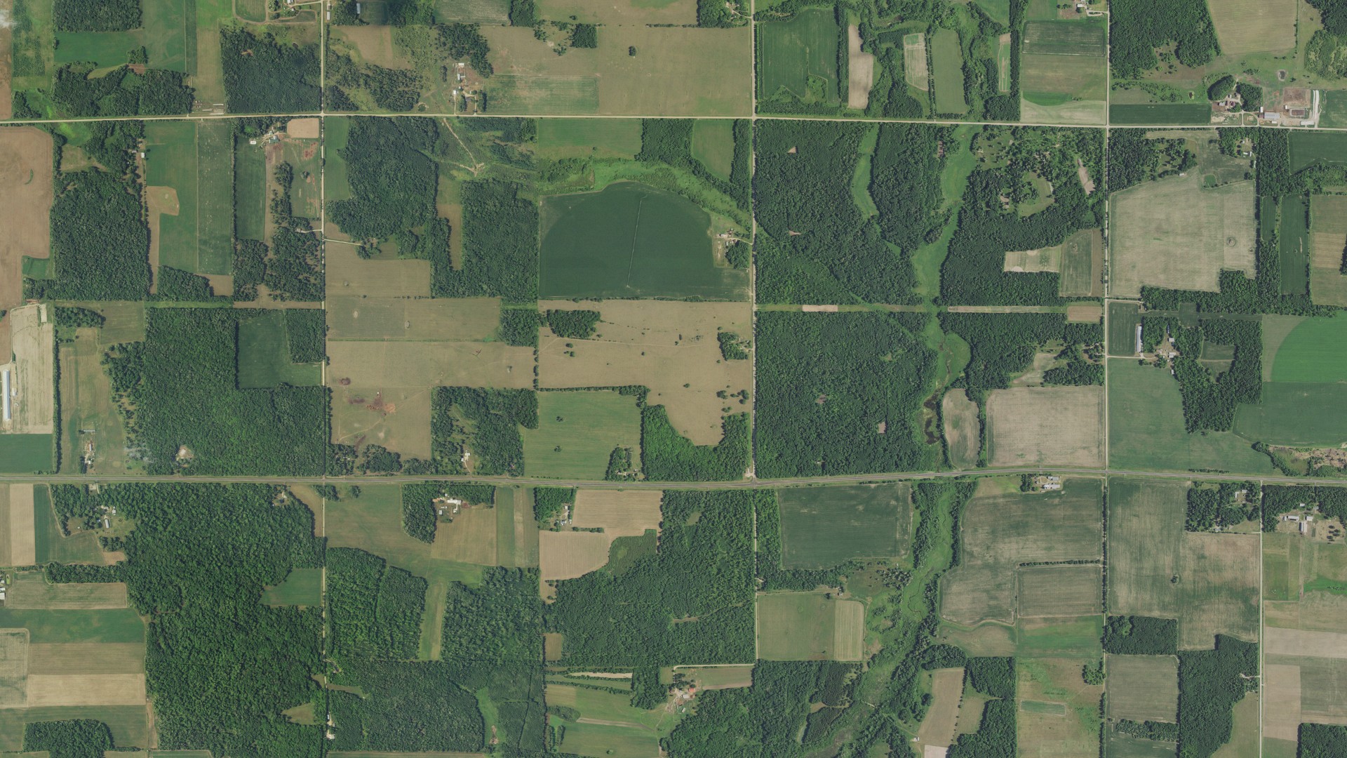 Aerial view of land around Spruce Grove, Minnesota