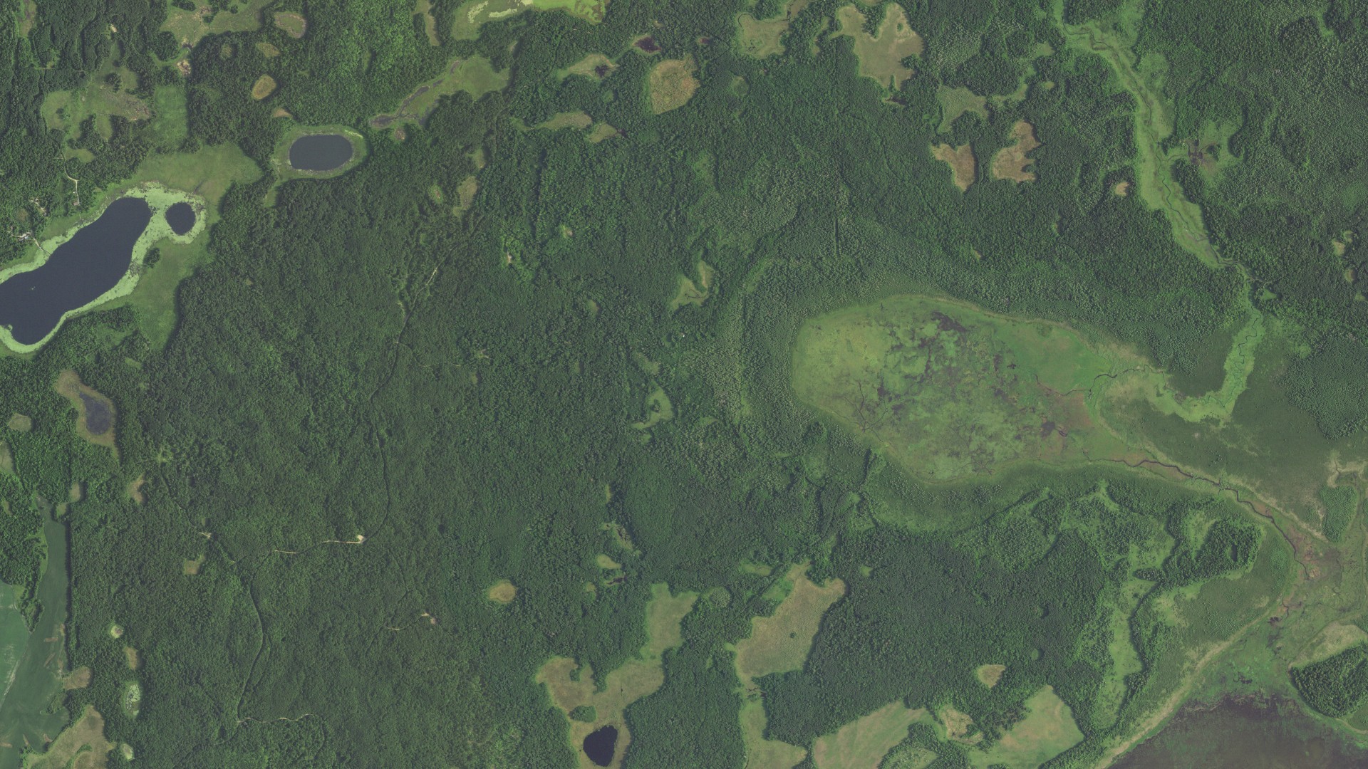 Aerial view of land around Sugar Bush, Minnesota