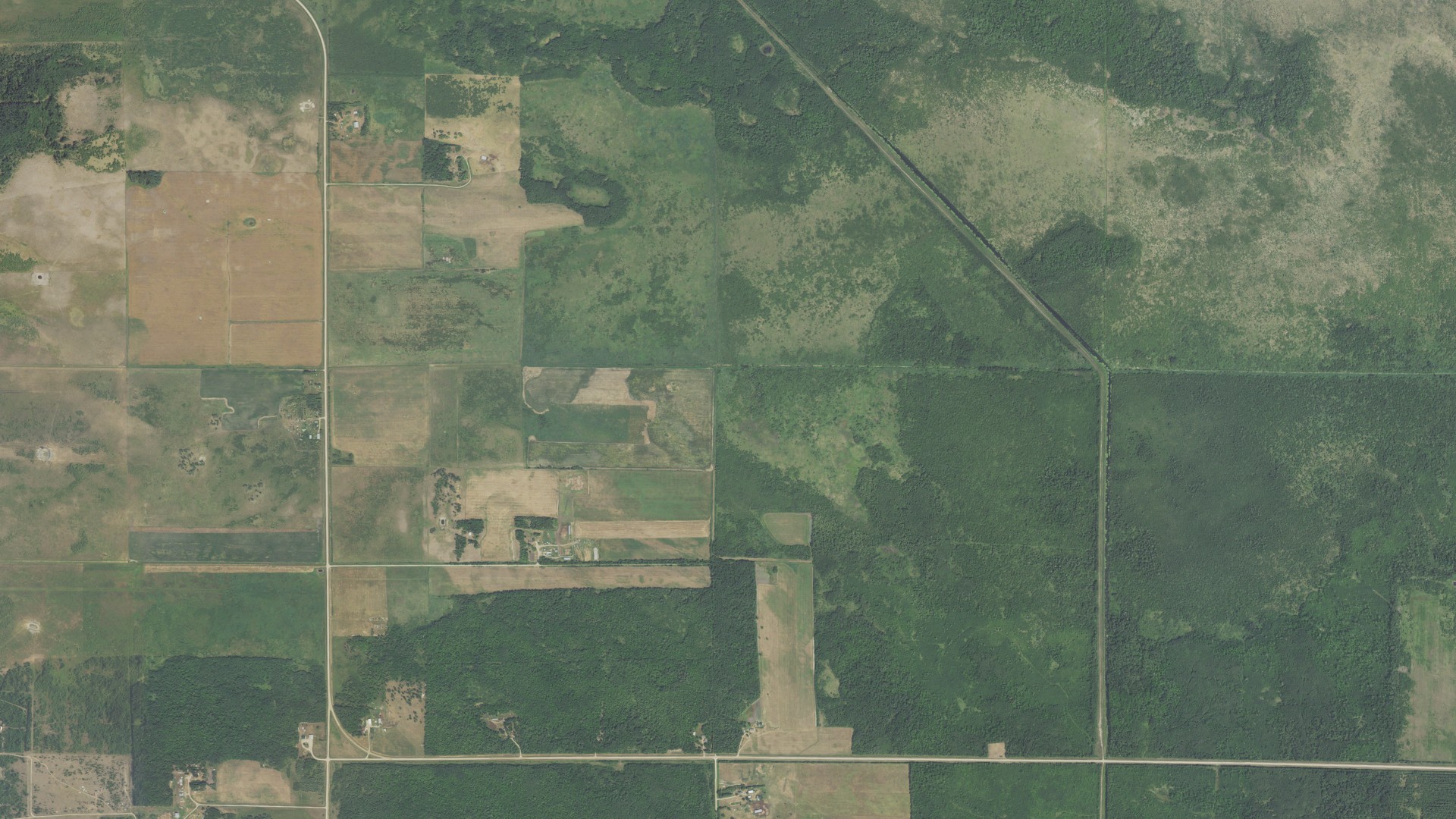 Aerial view of land around Spruce Grove, Minnesota