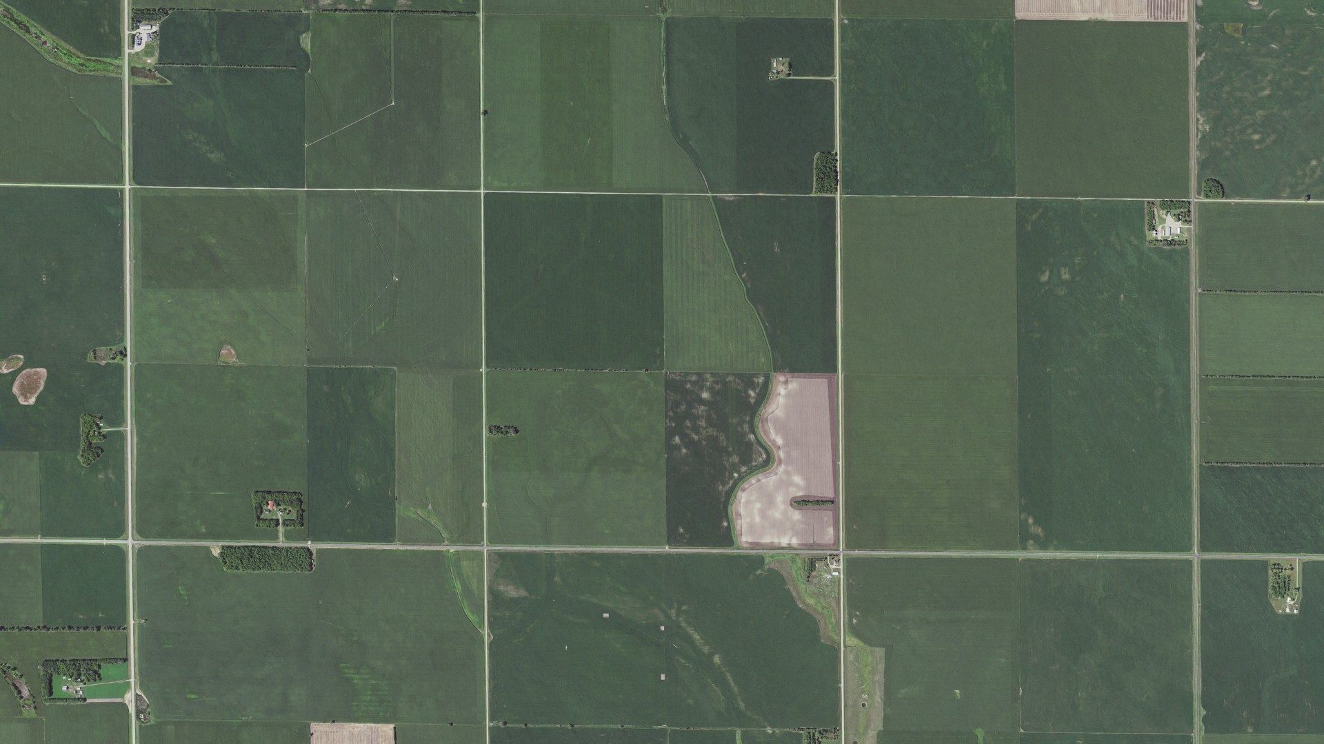 Aerial view of land around Foster, Minnesota