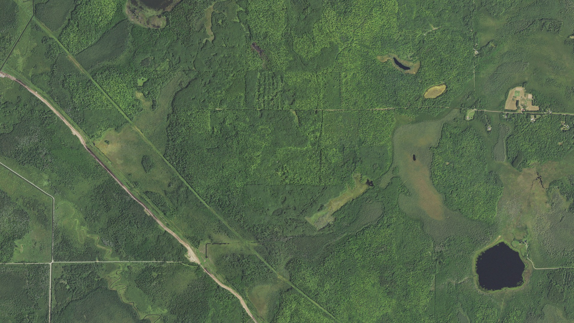 Aerial view of land around Perch Lake, Minnesota