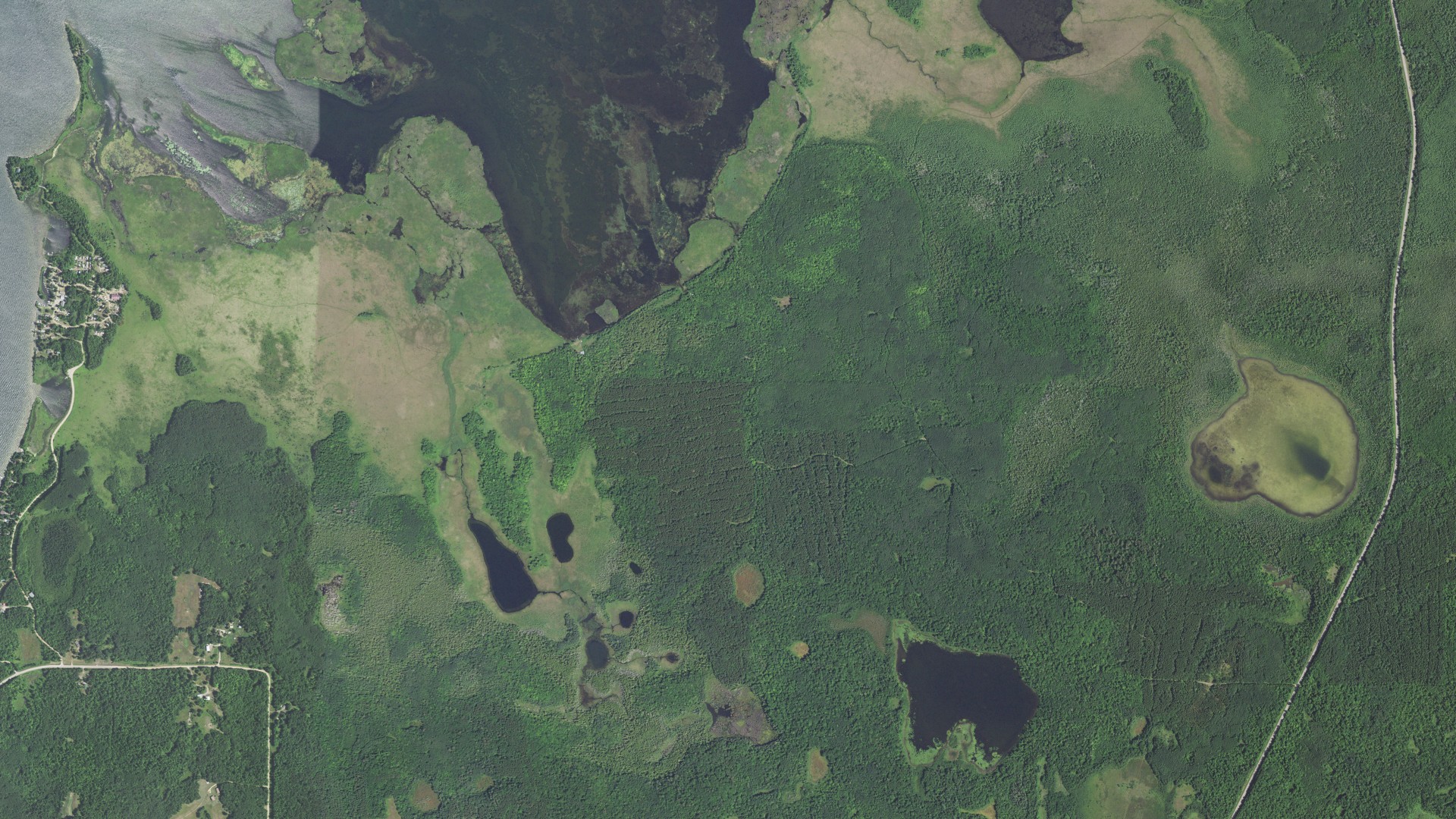 Aerial view of land around Boy Lake, Minnesota