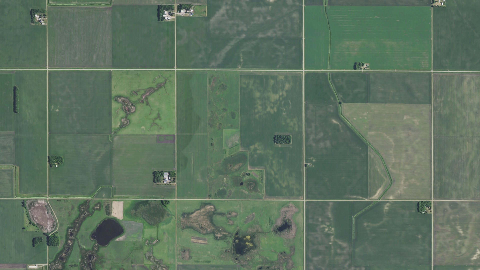 Aerial view of land around Grace, Minnesota
