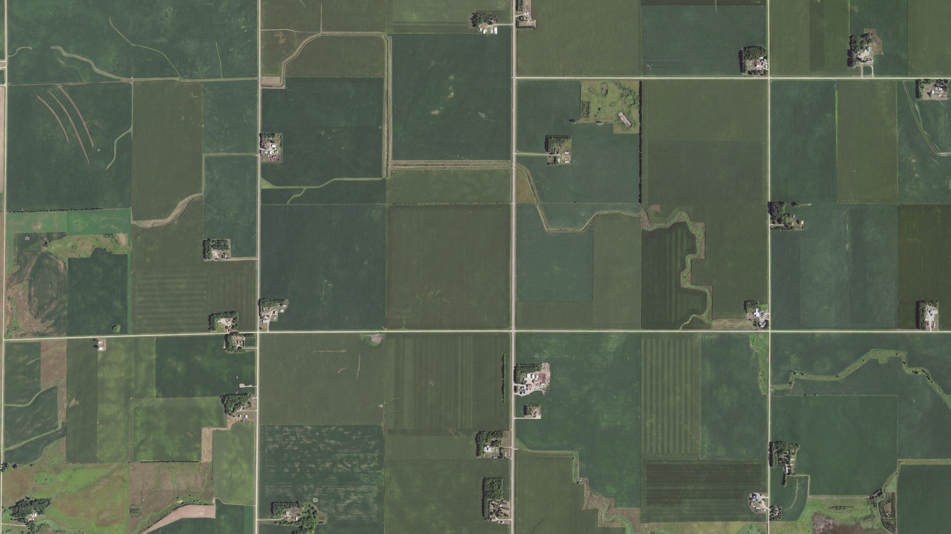 Natural-color aerial photograph of land around Cottonwood County, Minnesota