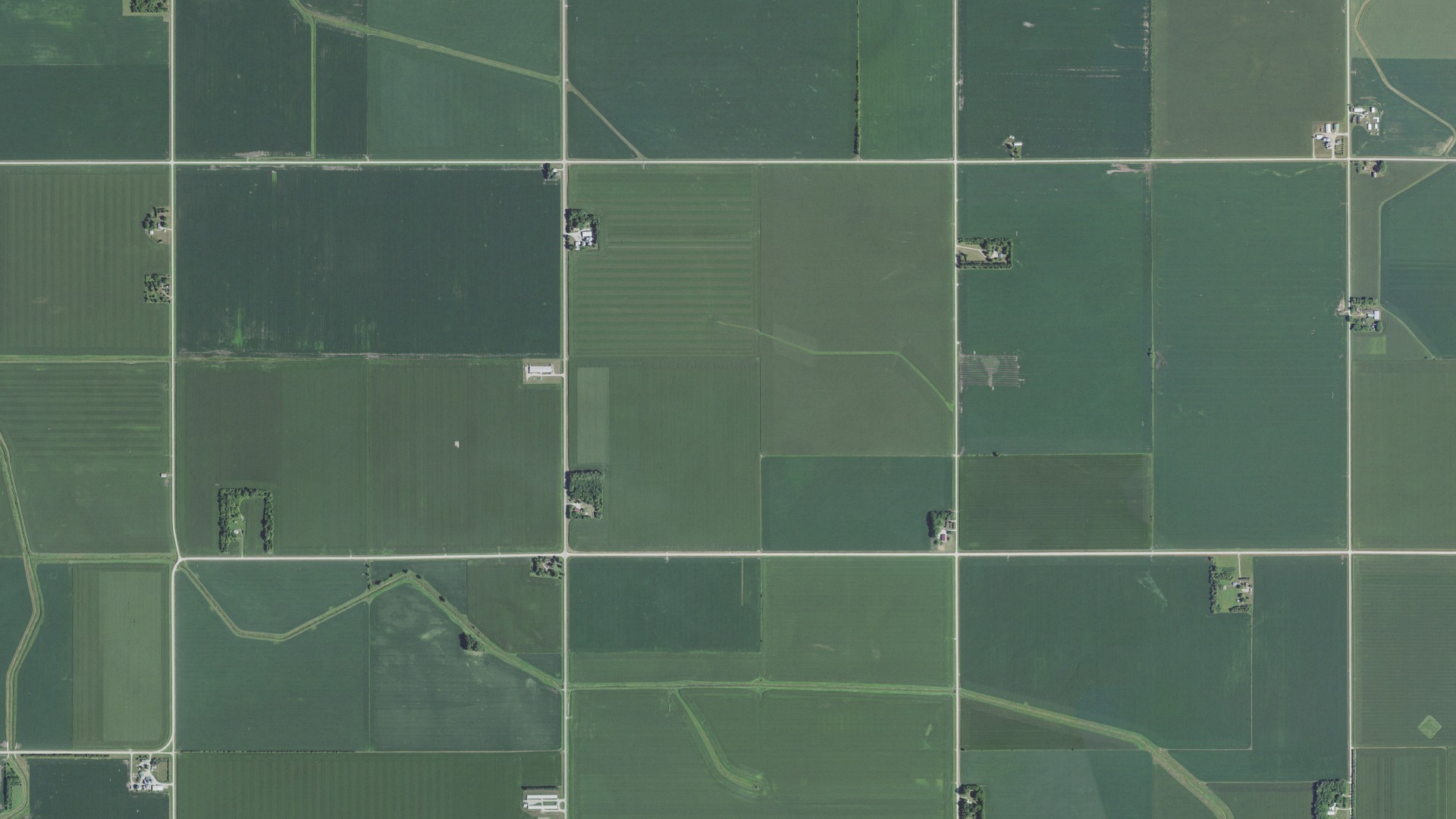 Natural-color aerial photograph of land around Ripley, Minnesota