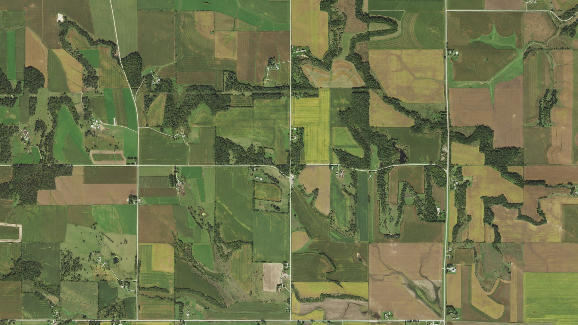 Natural-color aerial photograph of land around Newburg, Minnesota