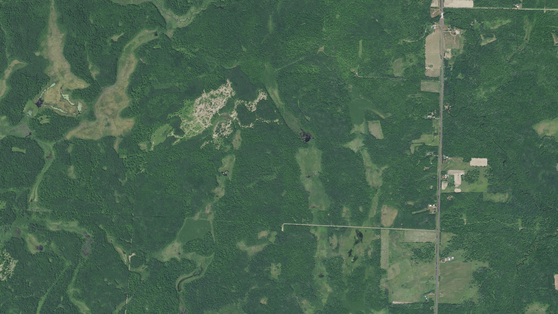 Natural-color aerial photograph of land around Ann Lake, Minnesota