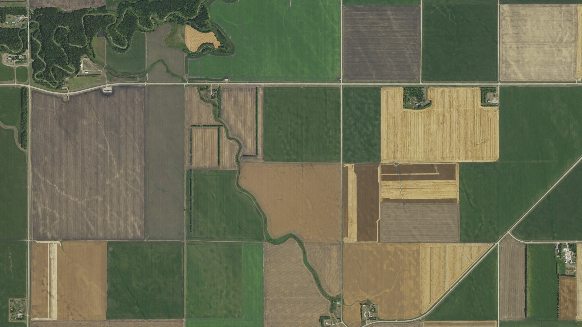 Natural-color aerial photograph of land around Hallock, Minnesota