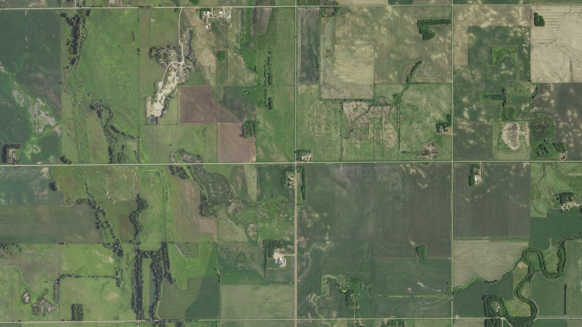 Natural-color aerial photograph of land around Freeland, Minnesota