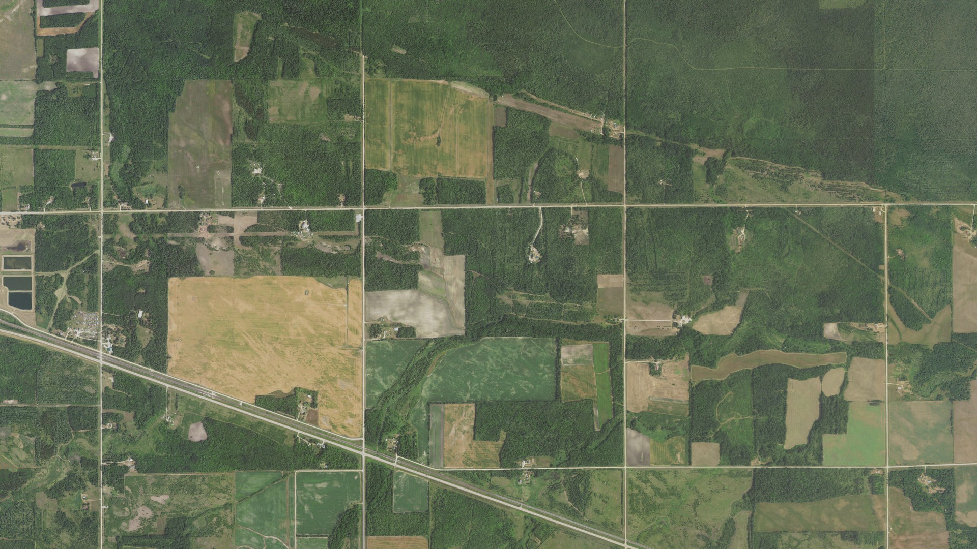 Natural-color aerial photograph of land around Lake of the Woods County, Minnesota