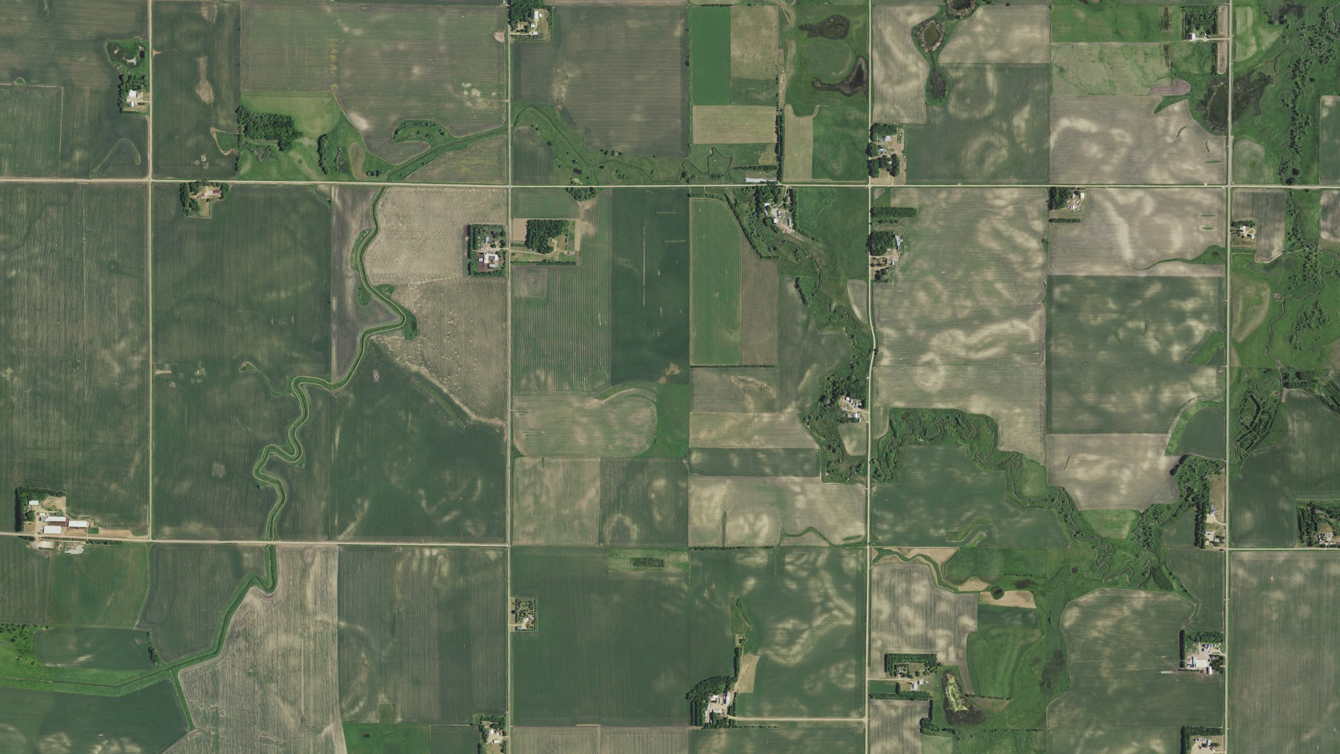 Natural-color aerial photograph of land around Marshfield, Minnesota