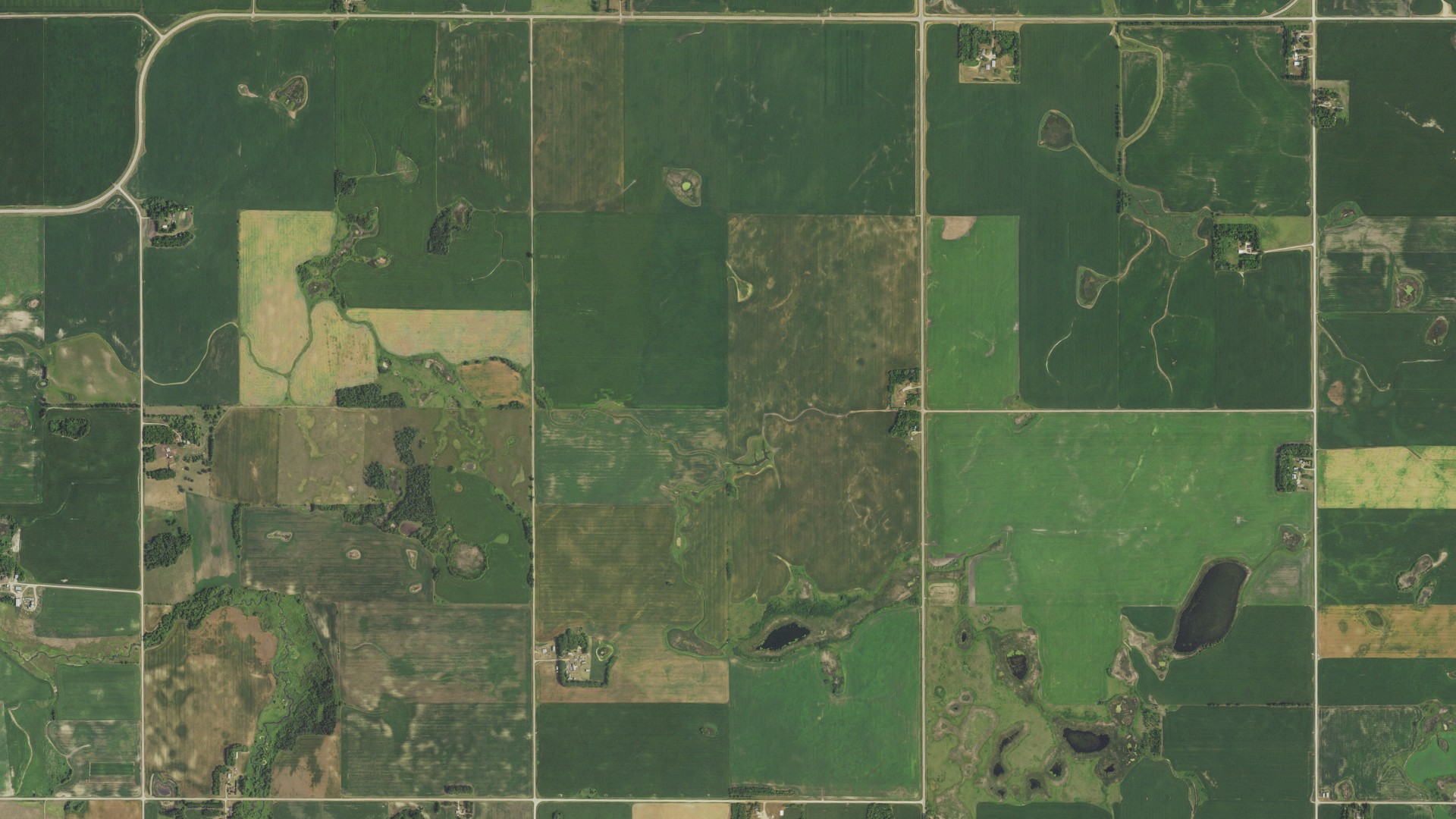 Aerial view of land around Pembina, Minnesota