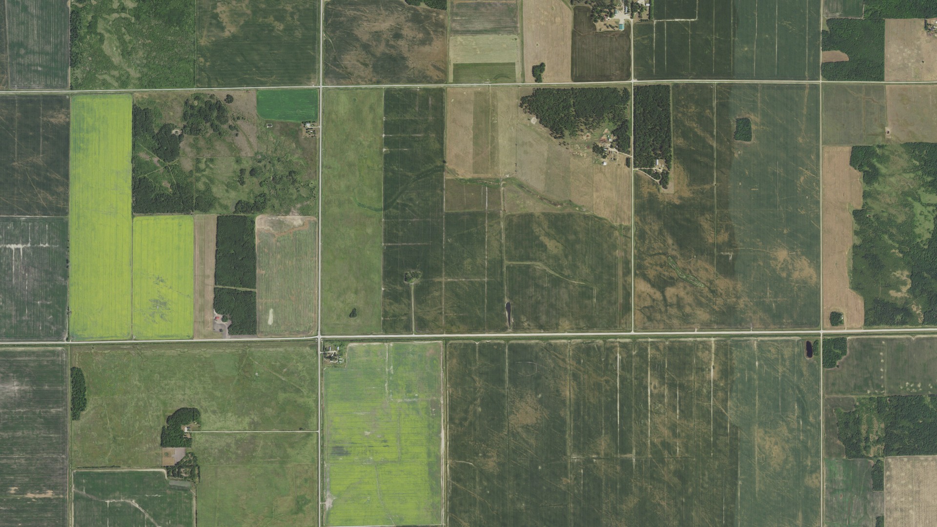 Aerial view of land around Moylan, Minnesota