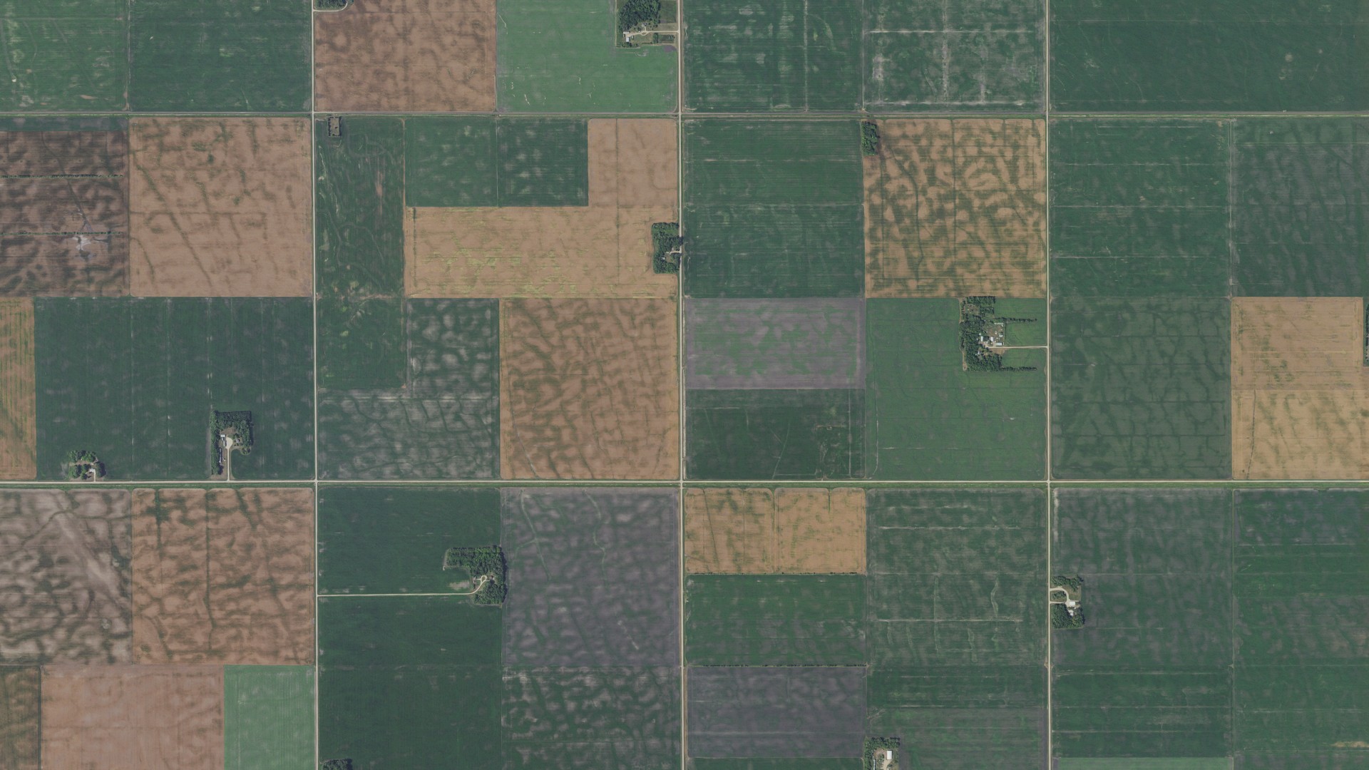 Natural-color aerial photograph of land around Vega, Minnesota