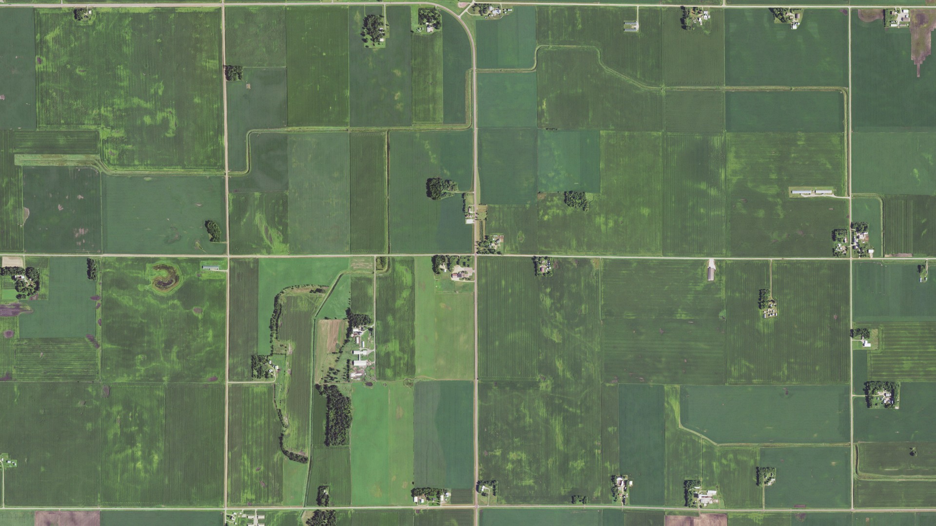 Aerial view of land around East Chain, Minnesota