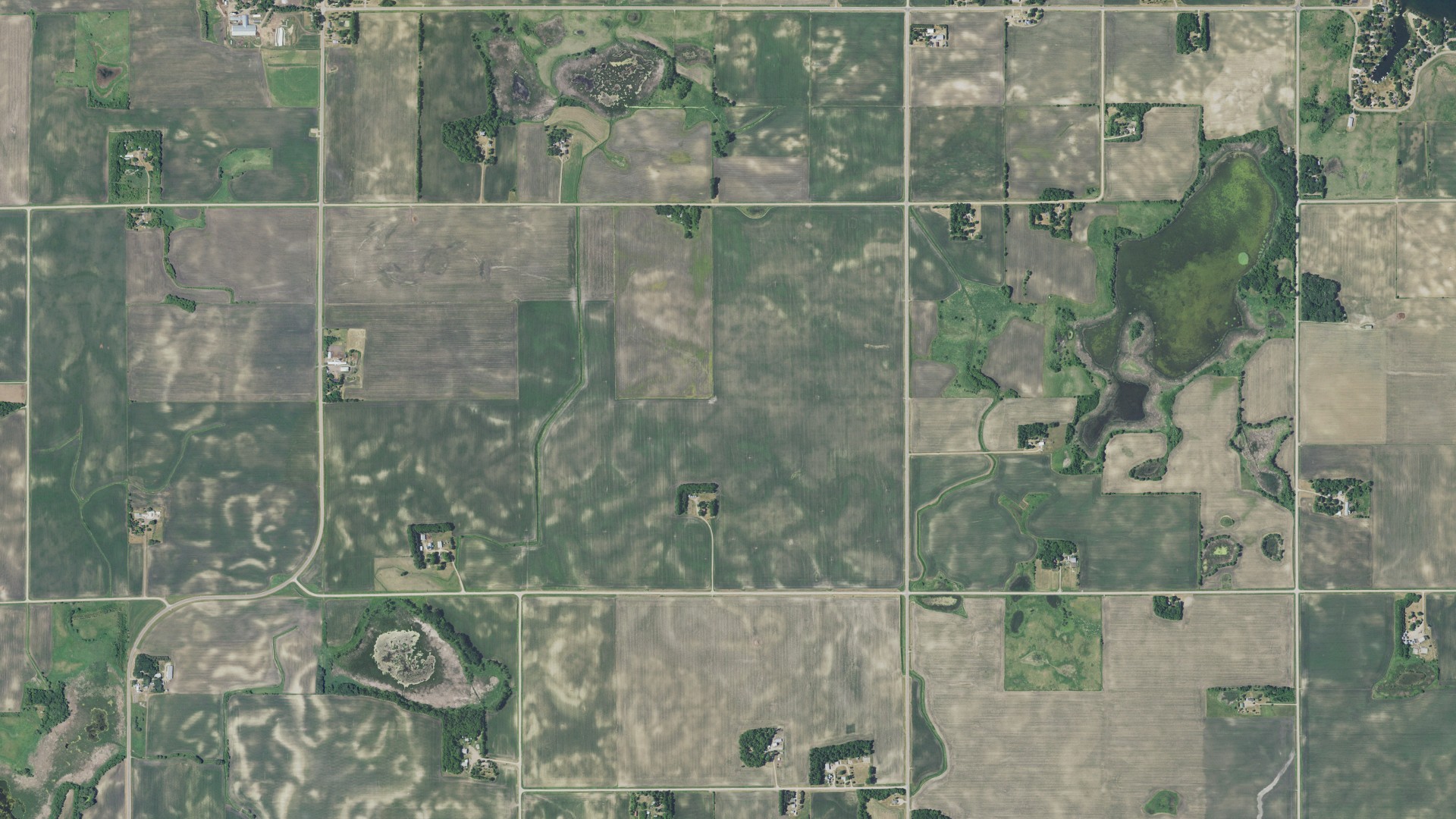 Aerial view of land around Greenleaf, Minnesota
