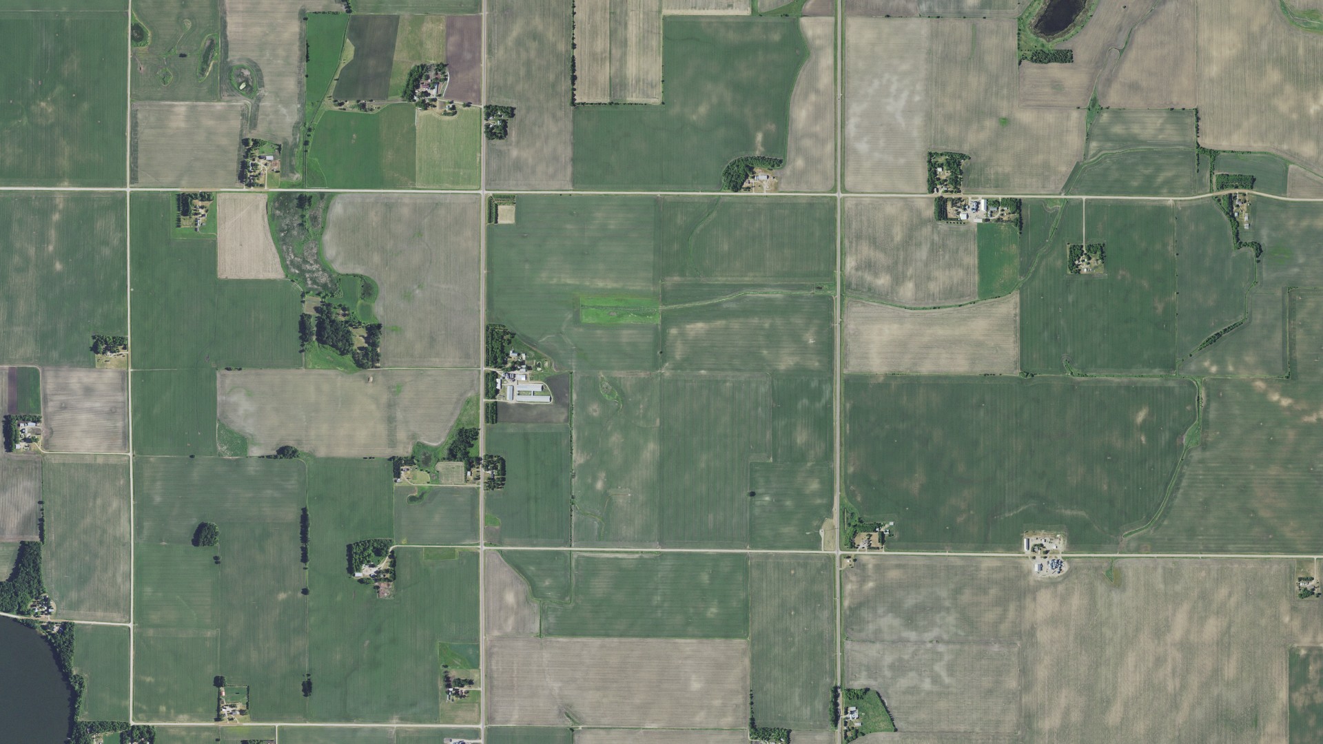 Natural-color aerial photograph of land around Swede Grove, Minnesota