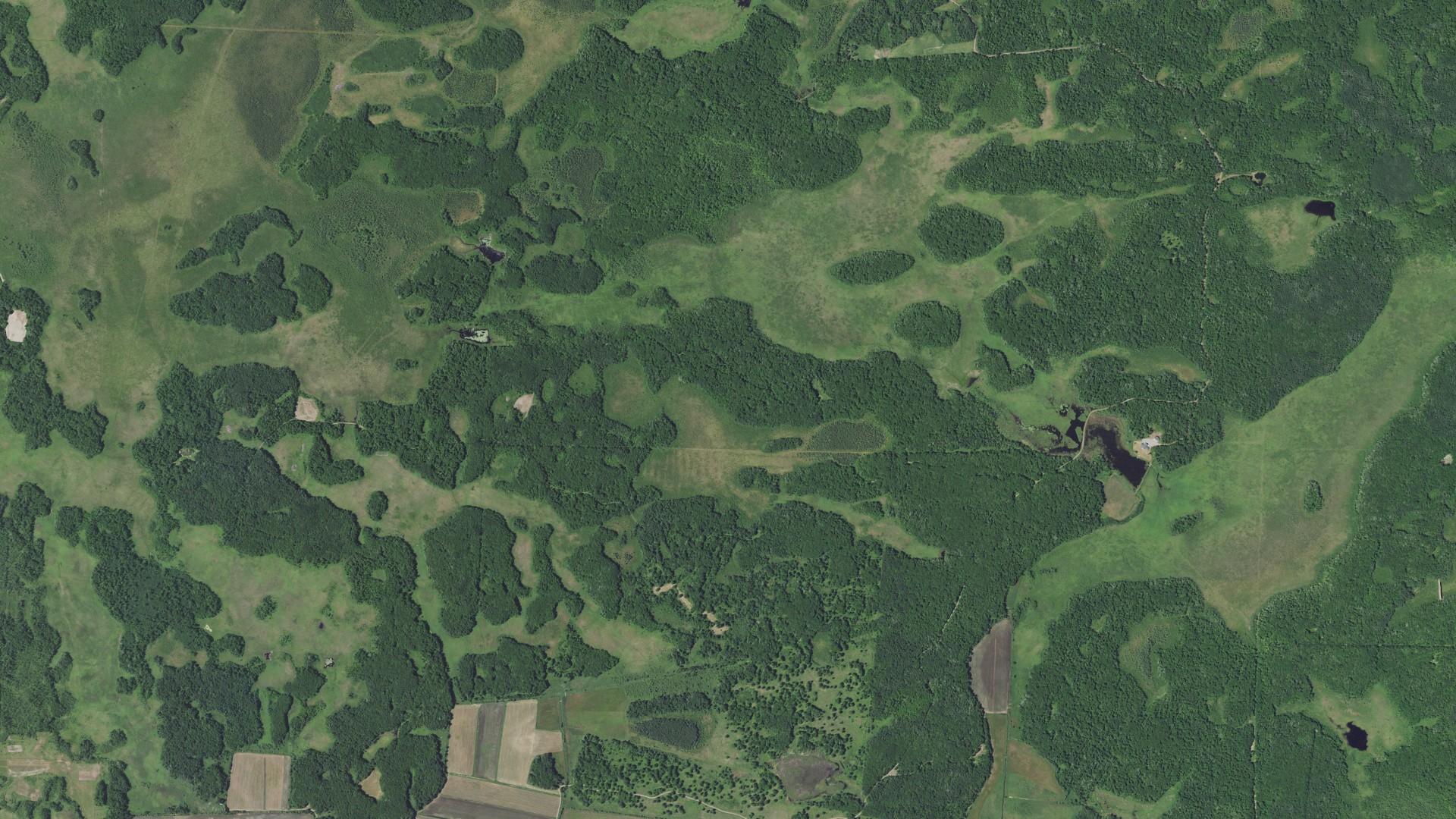 Aerial view of land around Mount Morris, Minnesota