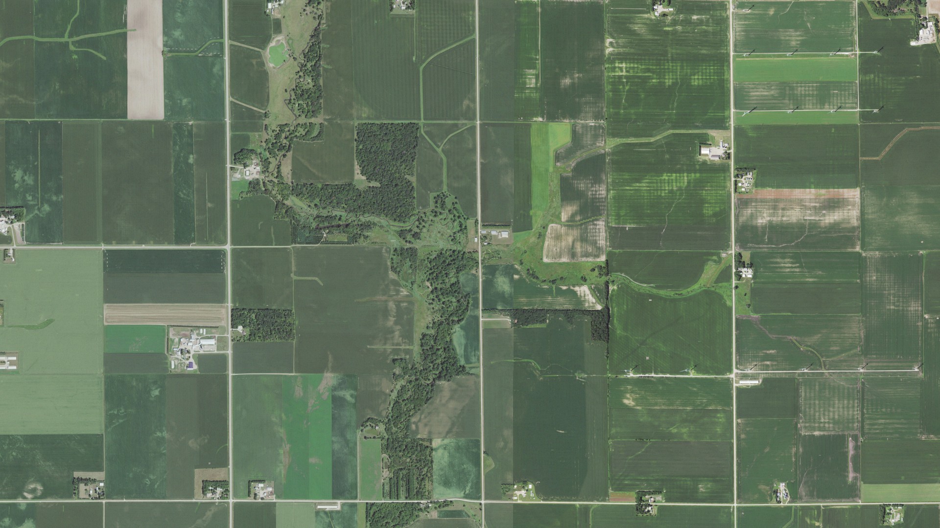 Aerial view of land around Adams, Minnesota