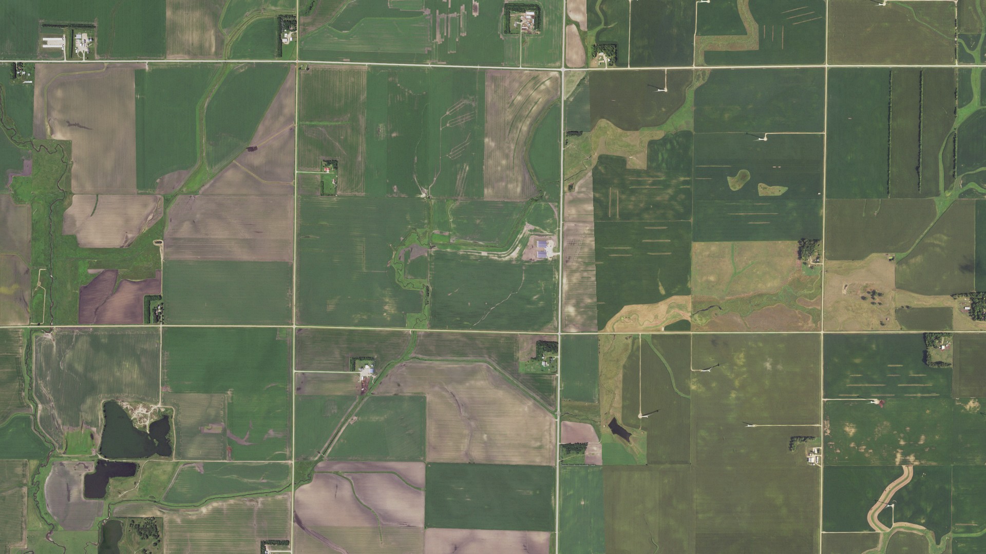 Natural-color aerial photograph of land around Larkin, Minnesota