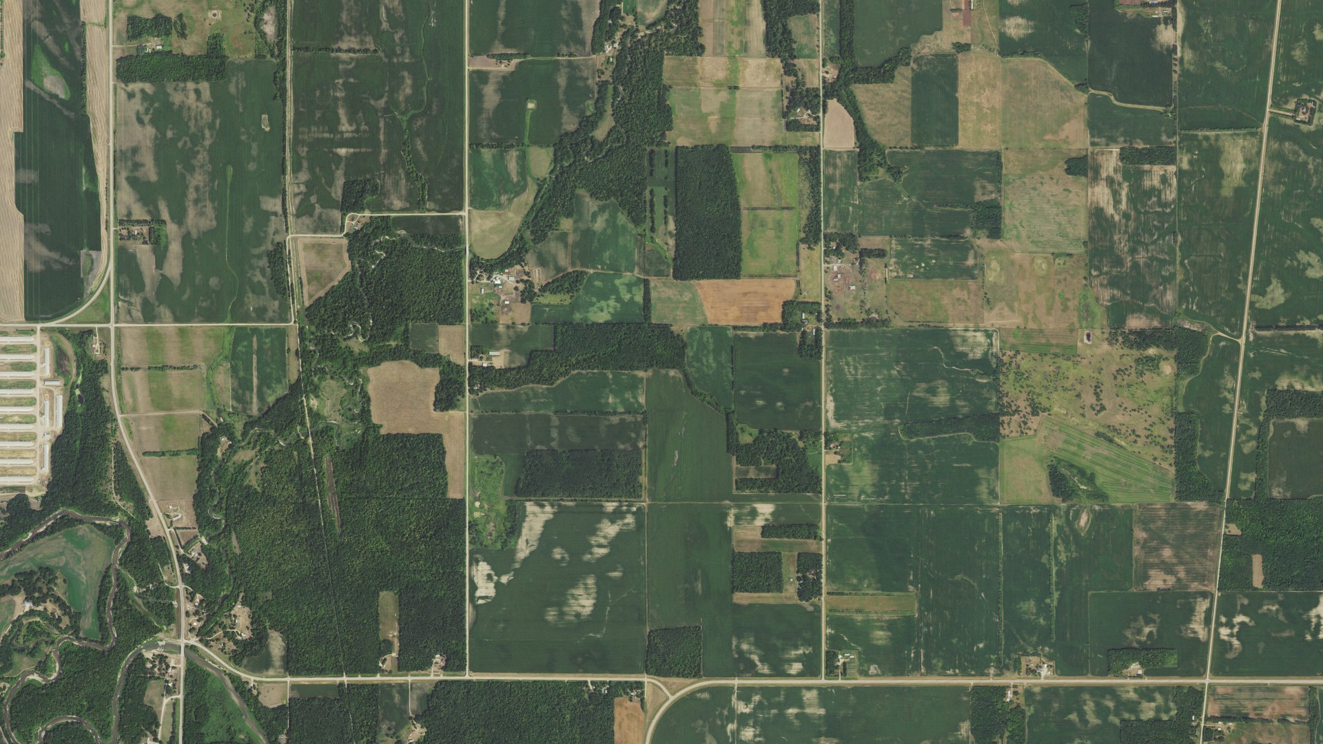 Natural-color aerial photograph of land around Wild Rice, Minnesota