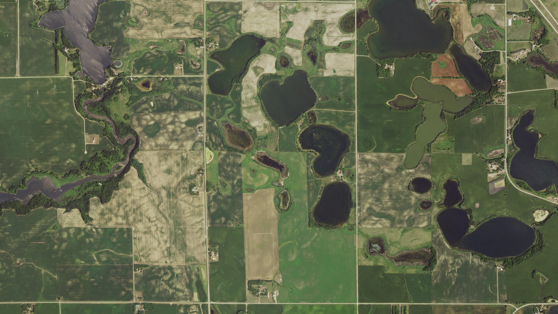 Aerial view of land around Buse, Minnesota