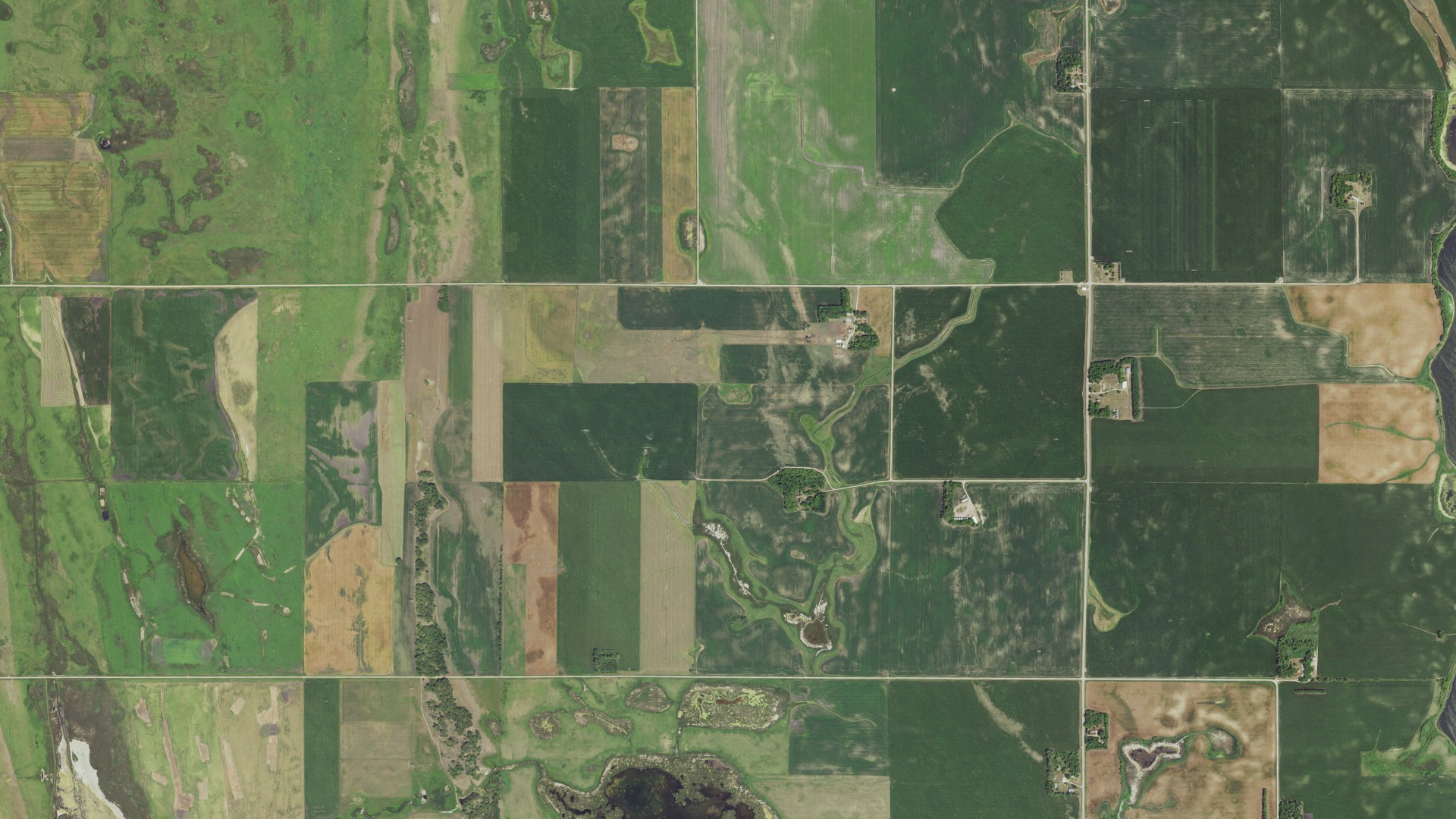 Aerial view of land around Western, Minnesota