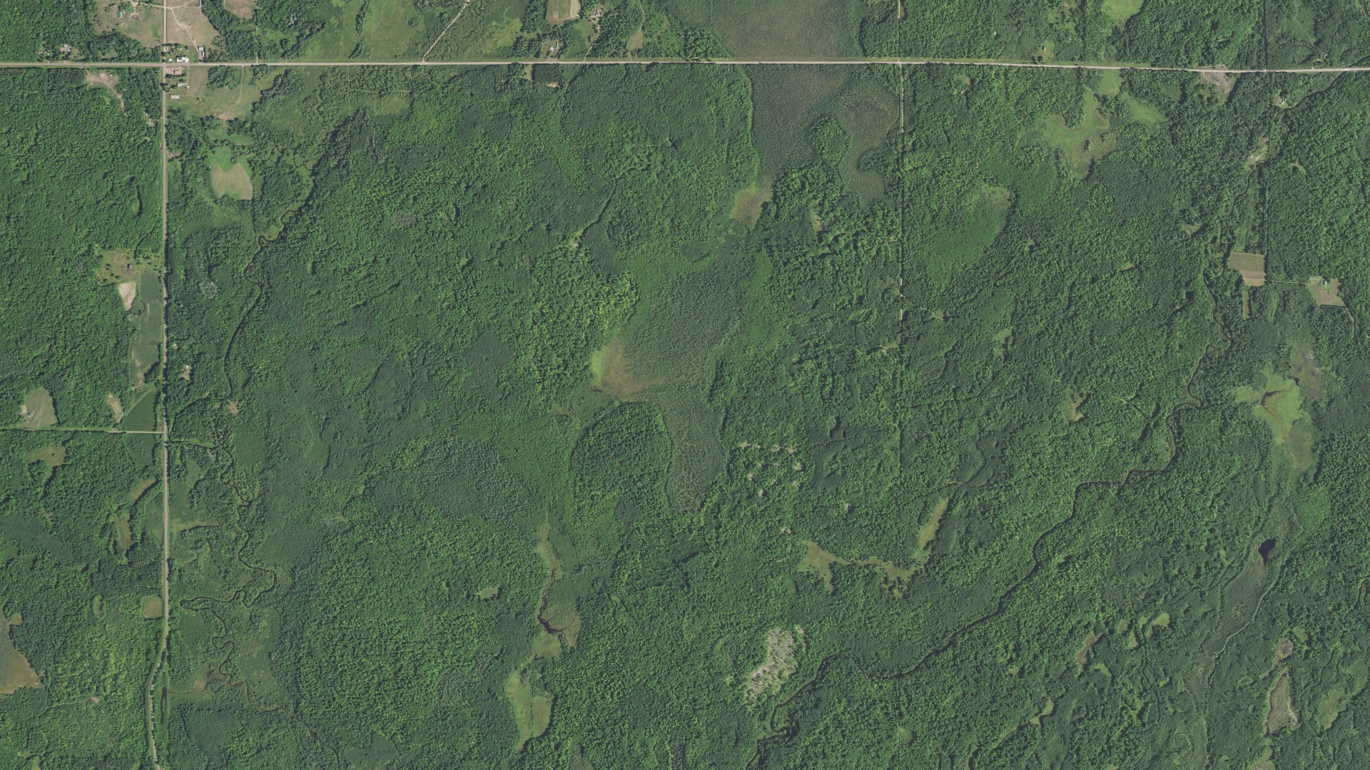 Natural-color aerial photograph of land around Wilma, Minnesota
