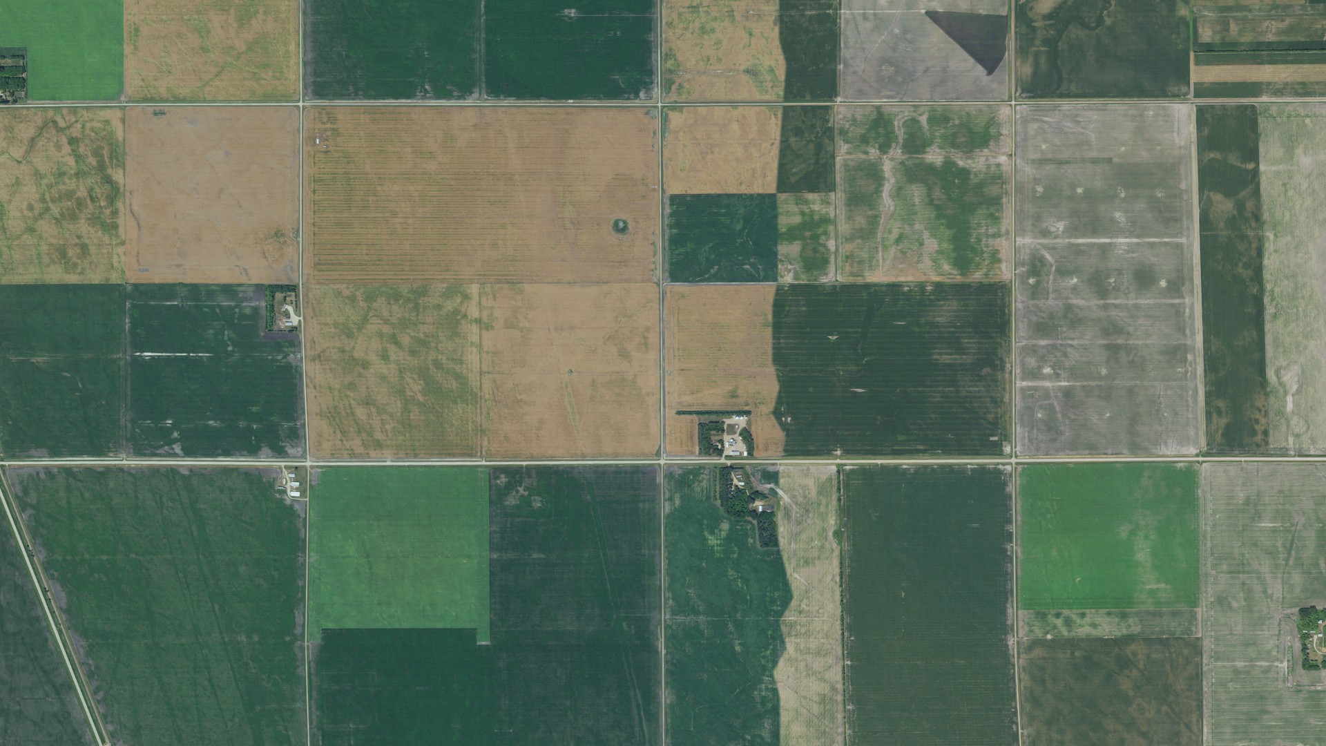 Natural-color aerial photograph of land around Brislet, Minnesota