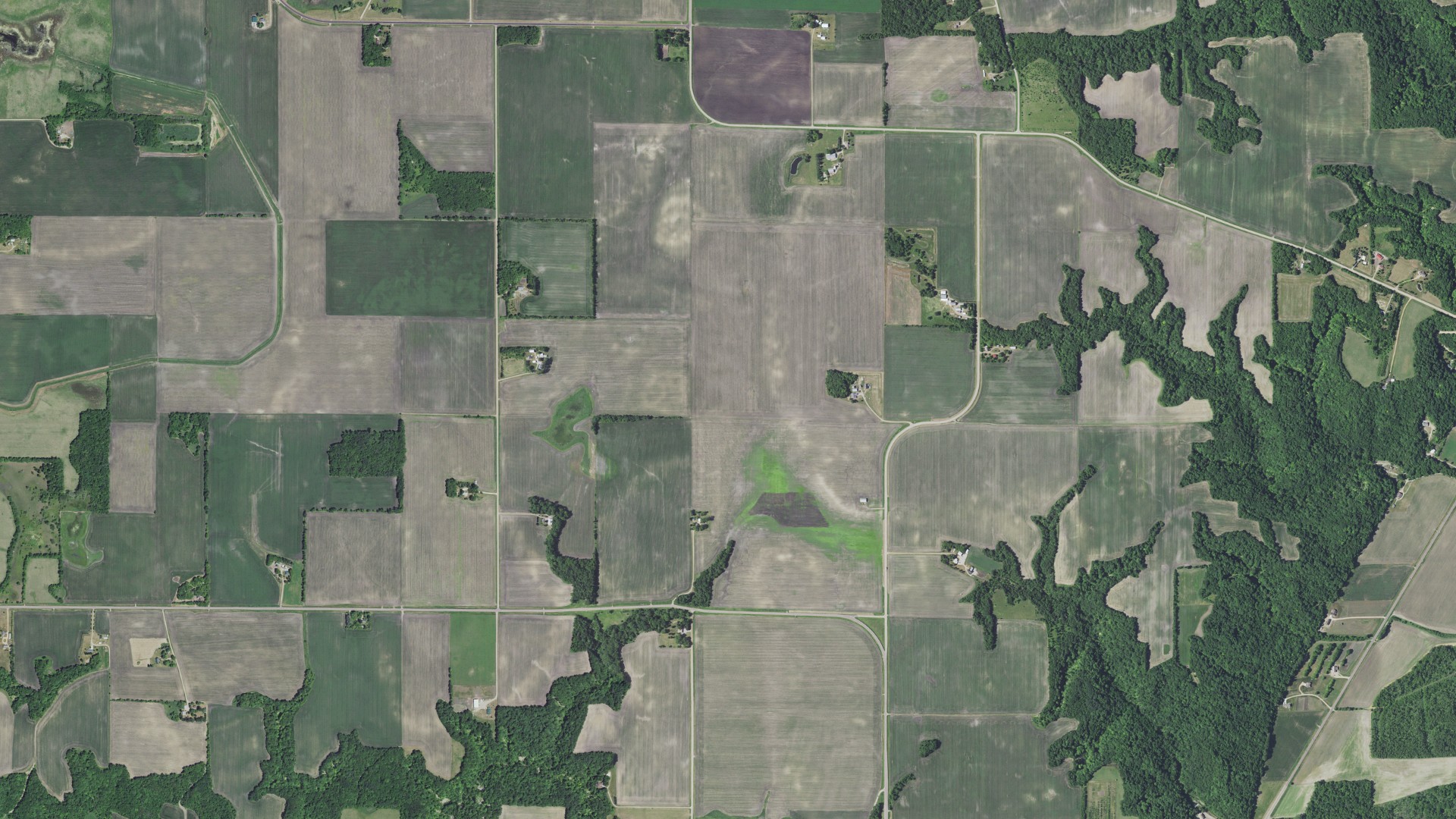 Aerial view of land around Jessenland, Minnesota
