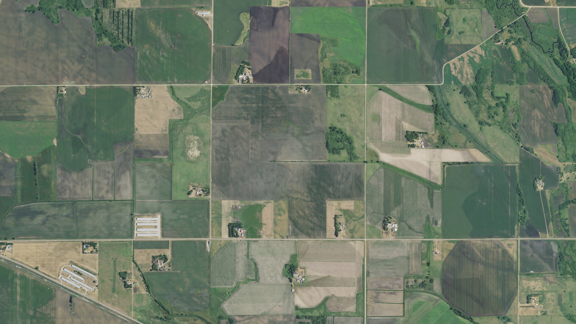 Aerial view of land around Crow River, Minnesota