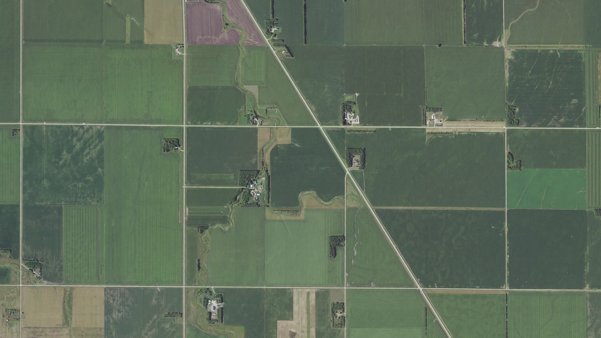 Natural-color aerial photograph of land around Traverse County, Minnesota